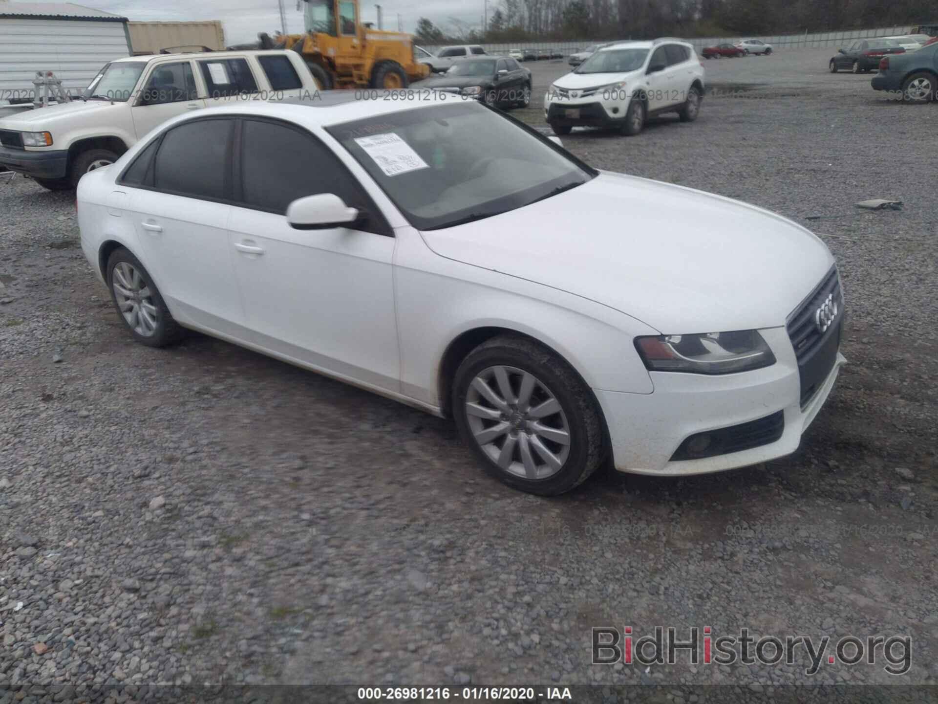 Фотография WAUBFAFL9CN005832 - AUDI A4 2012