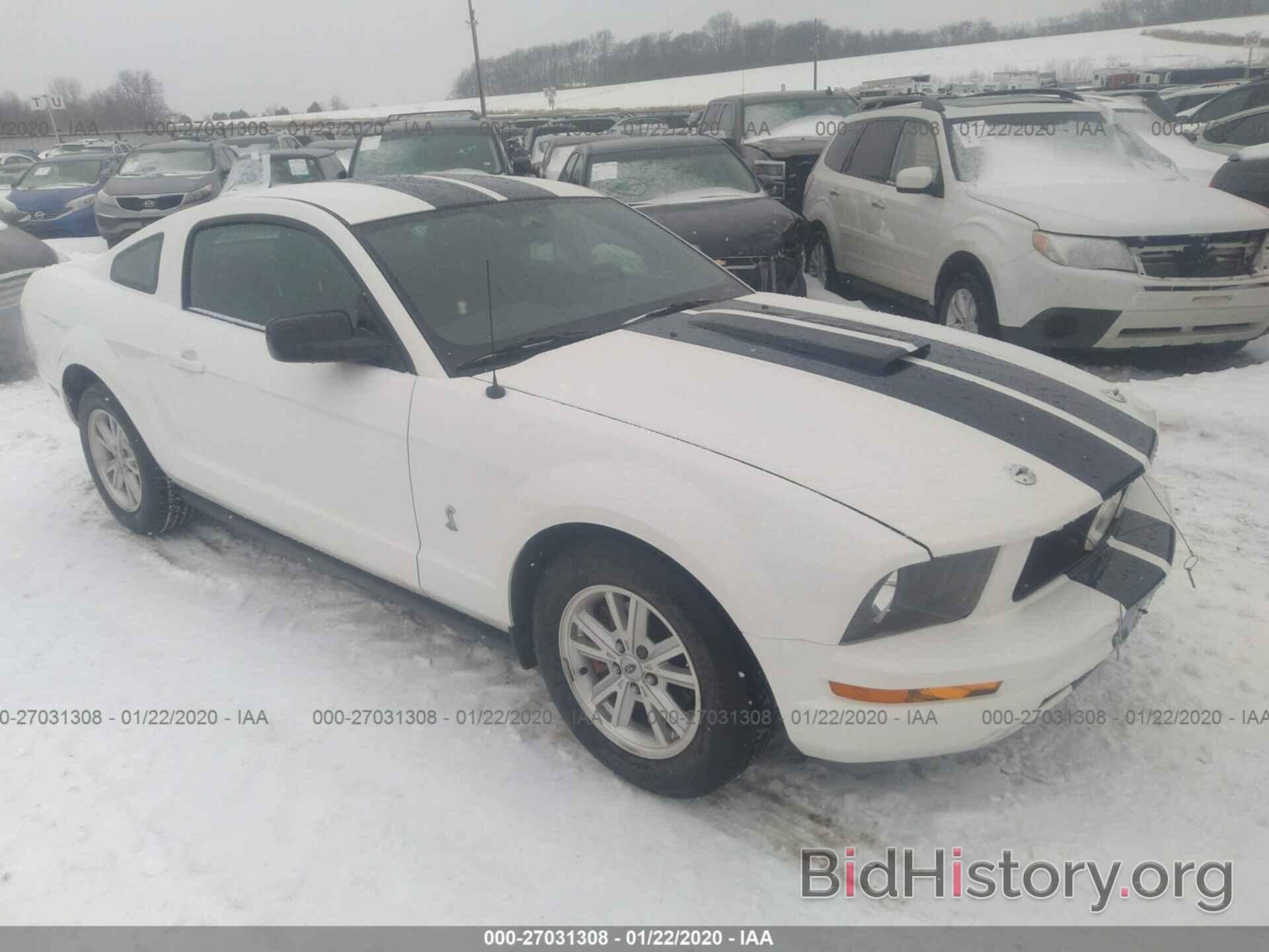 Photo 1ZVHT80N195134503 - FORD MUSTANG 2009