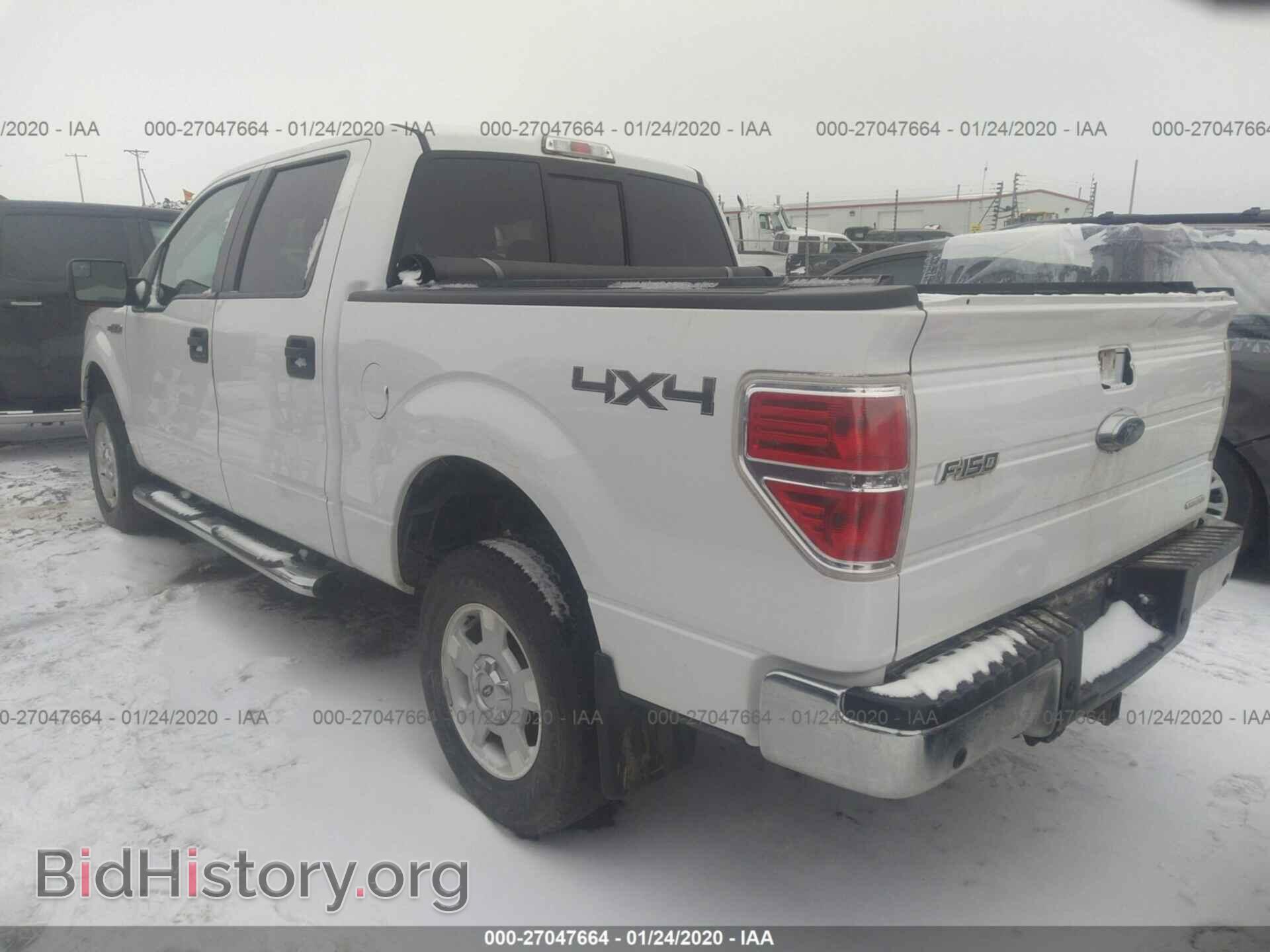 2014 FORD F150 - VIN: 1FTFW1EF4EFB48779 - Фото 3