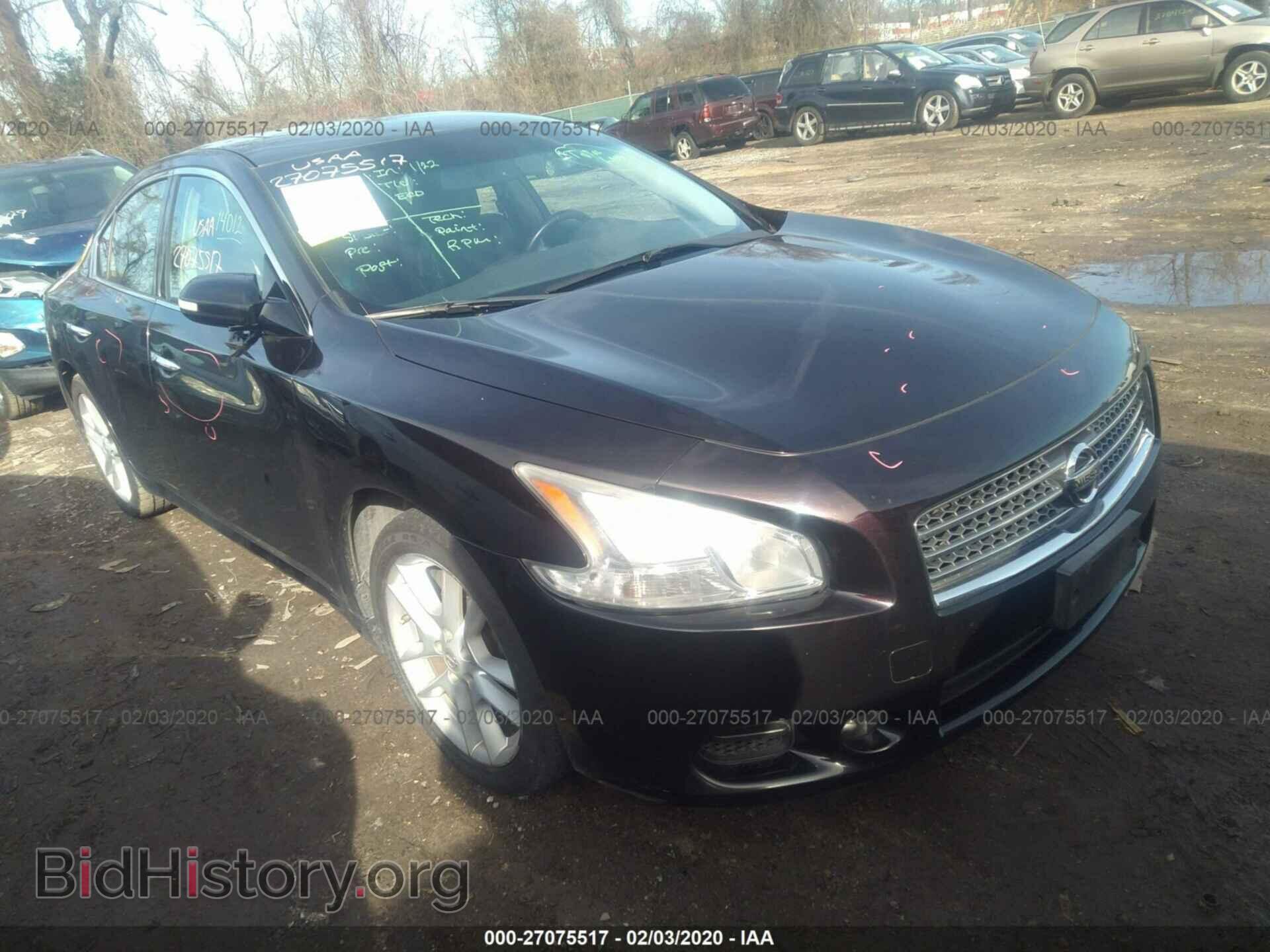 Photo 1N4AA5AP1AC868458 - NISSAN MAXIMA 2010