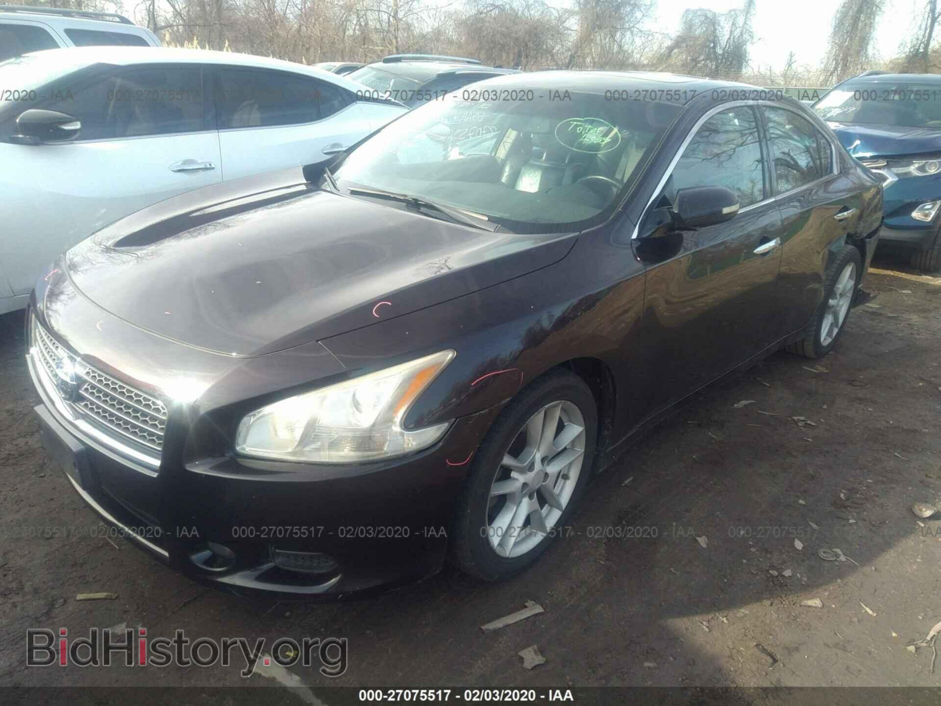 2010 NISSAN MAXIMA - VIN: 1N4AA5AP1AC868458 - Фото 2