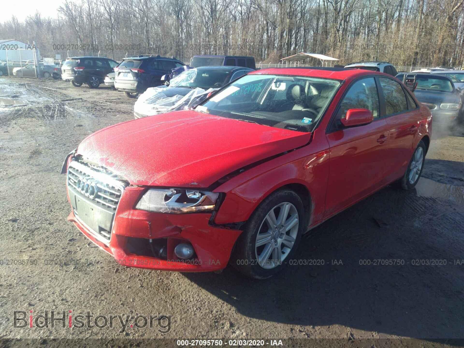 2011 AUDI A4 - VIN: WAUBFAFLXBN036487 - Фото 2