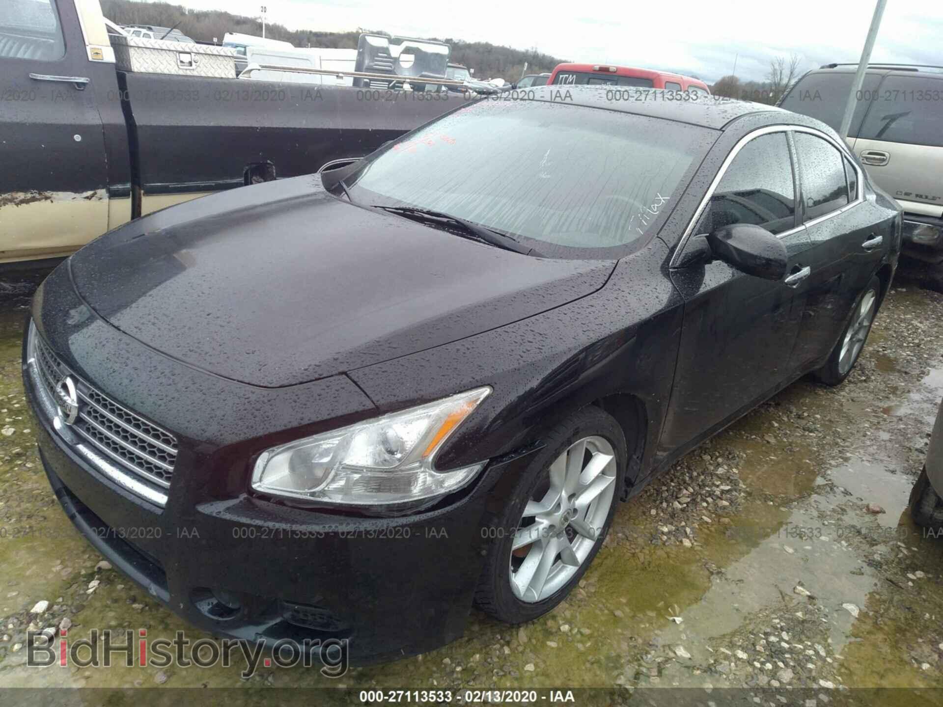 2010 NISSAN MAXIMA - VIN: 1N4AA5AP3AC833341 - Фото 2