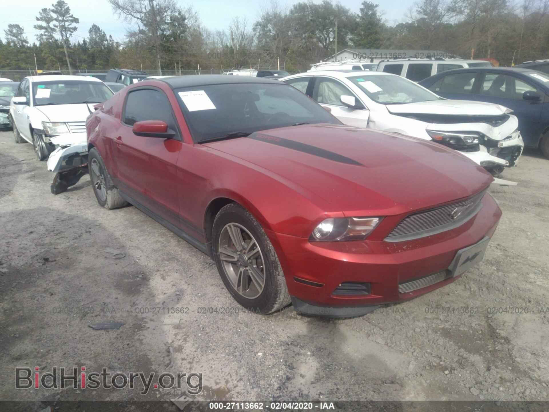 Фотография 1ZVBP8AM0C5208422 - FORD MUSTANG 2012