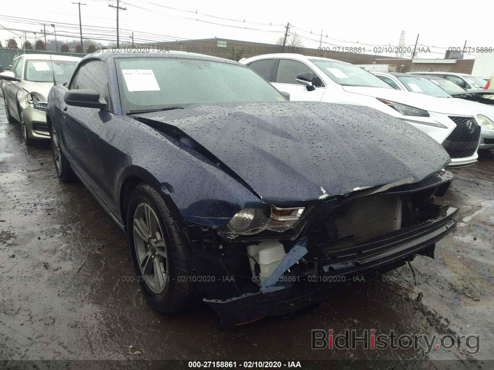 Photo 1ZVBP8EM4B5116187 - FORD MUSTANG 2011