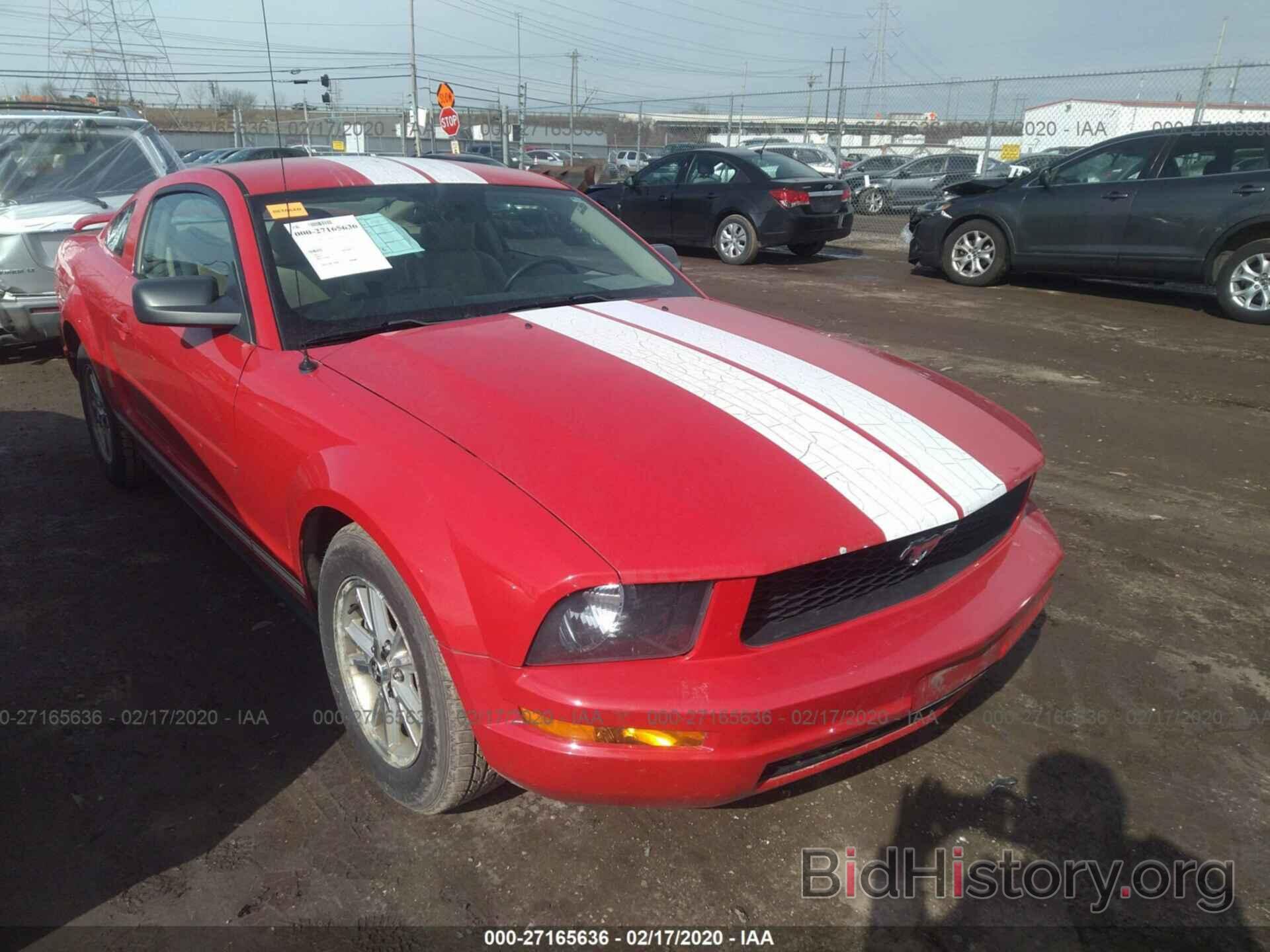Photo 1ZVFT80N265193904 - FORD MUSTANG 2006