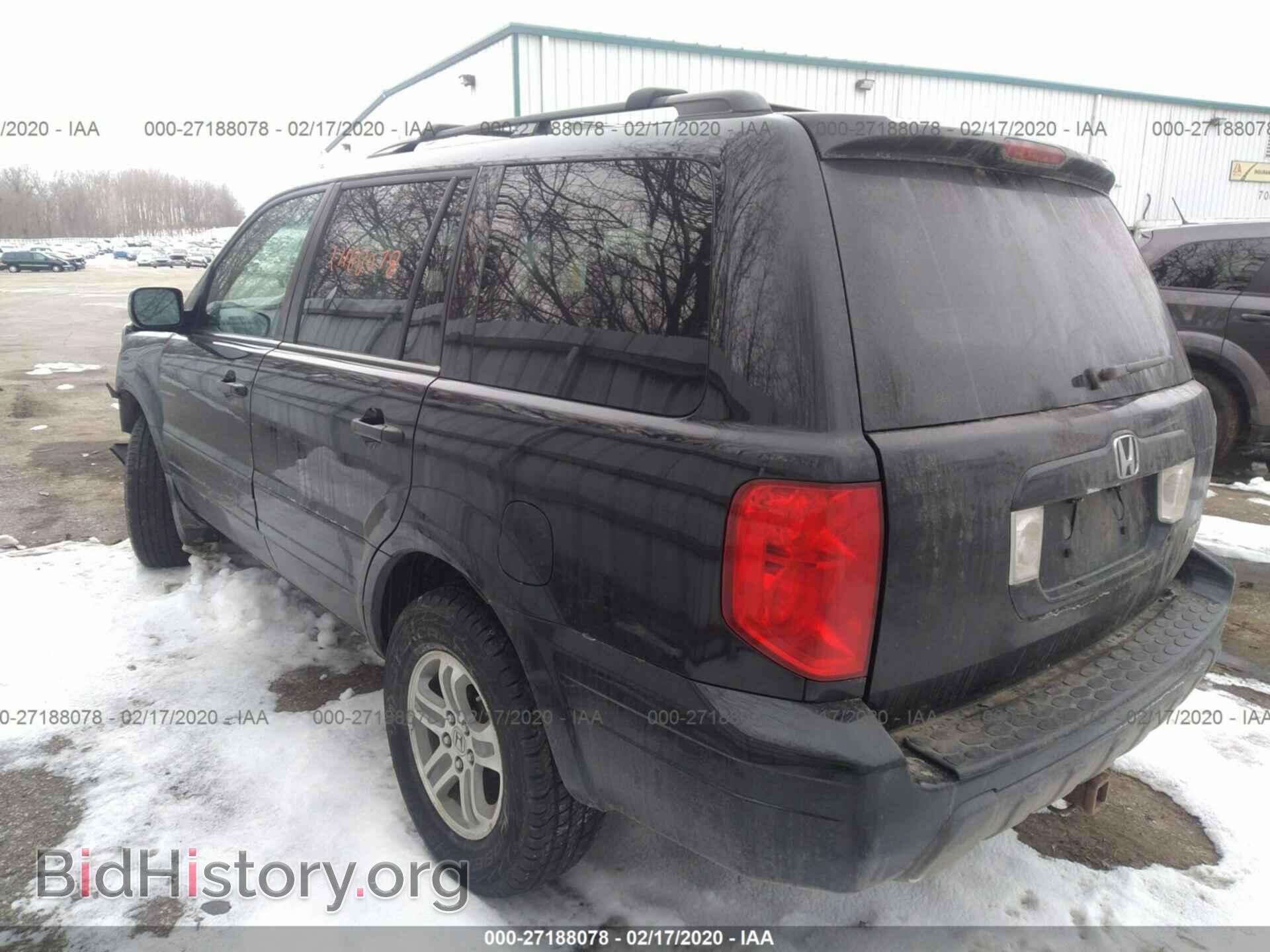 2005 HONDA PILOT - VIN: 5FNYF18595B029660 - Фото 3