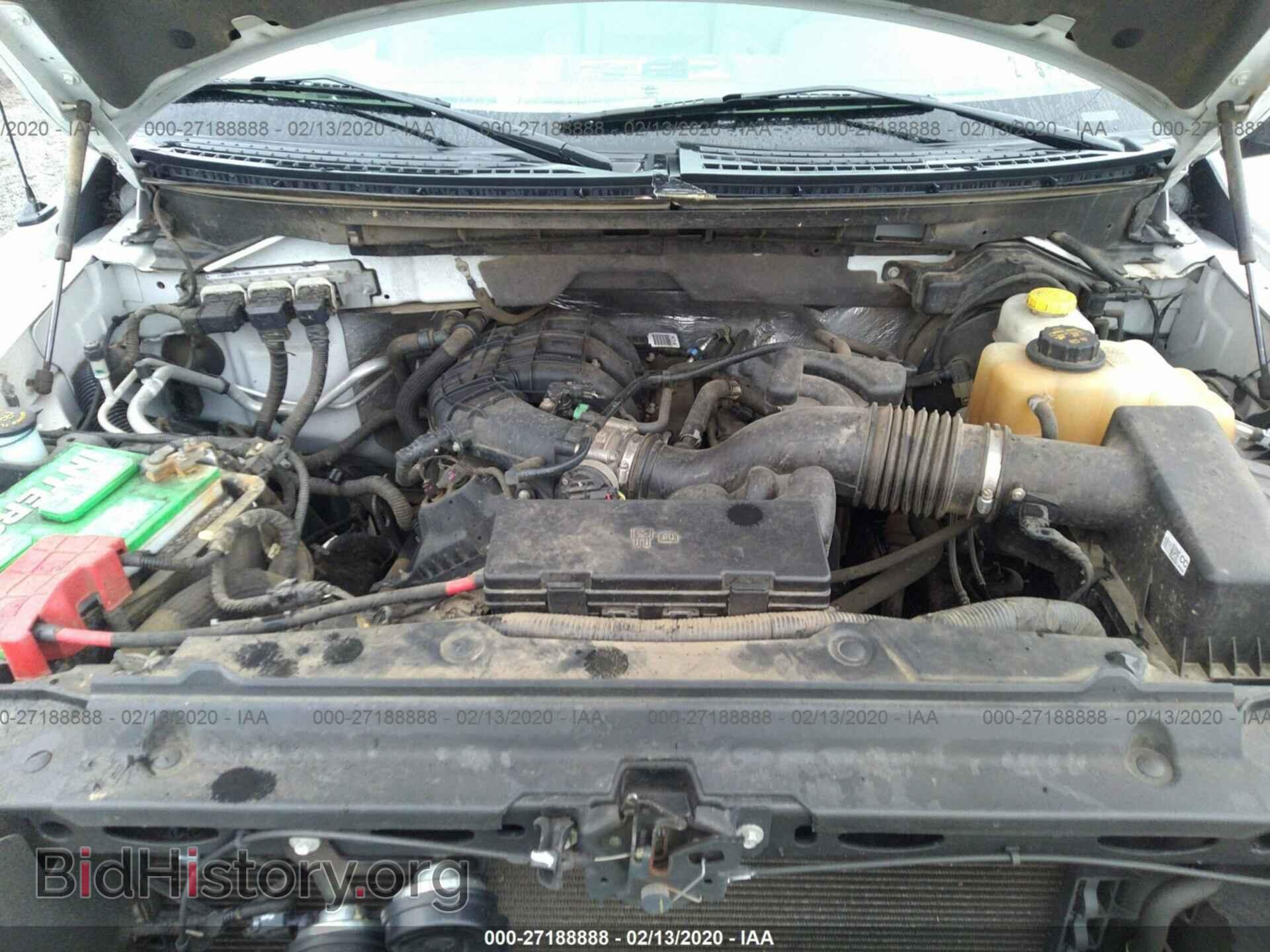2014 FORD F150 - VIN: 1FTMF1EM1EKG28663 - Фото 10