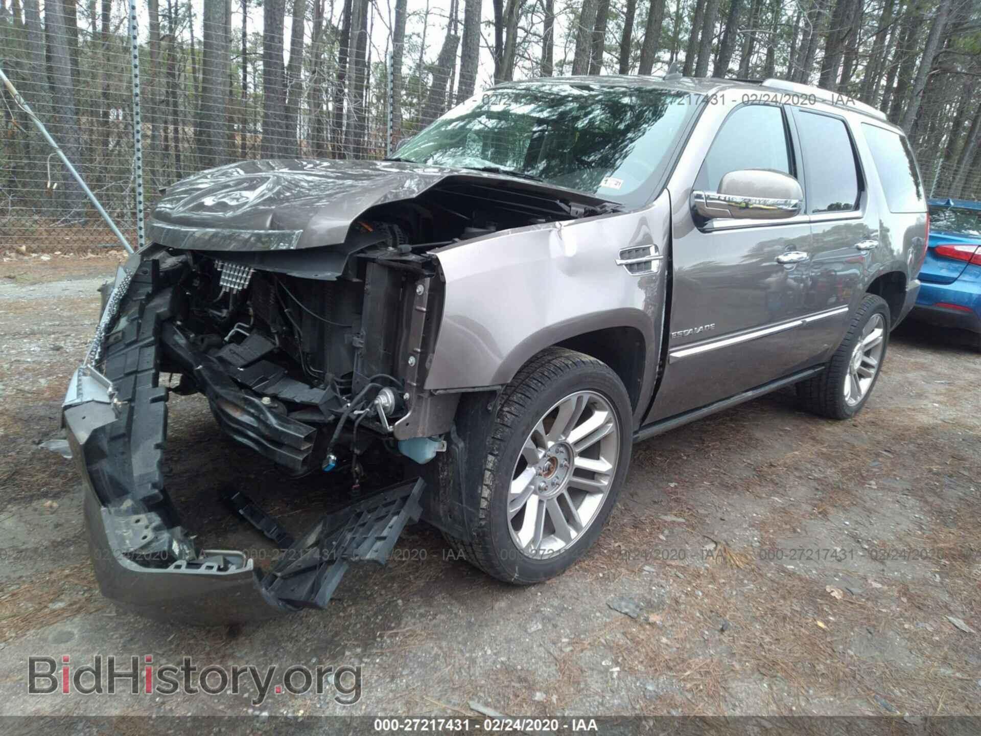 2013 CADILLAC ESCALADE - VIN: 1GYS4DEF2DR144047 - Фото 2