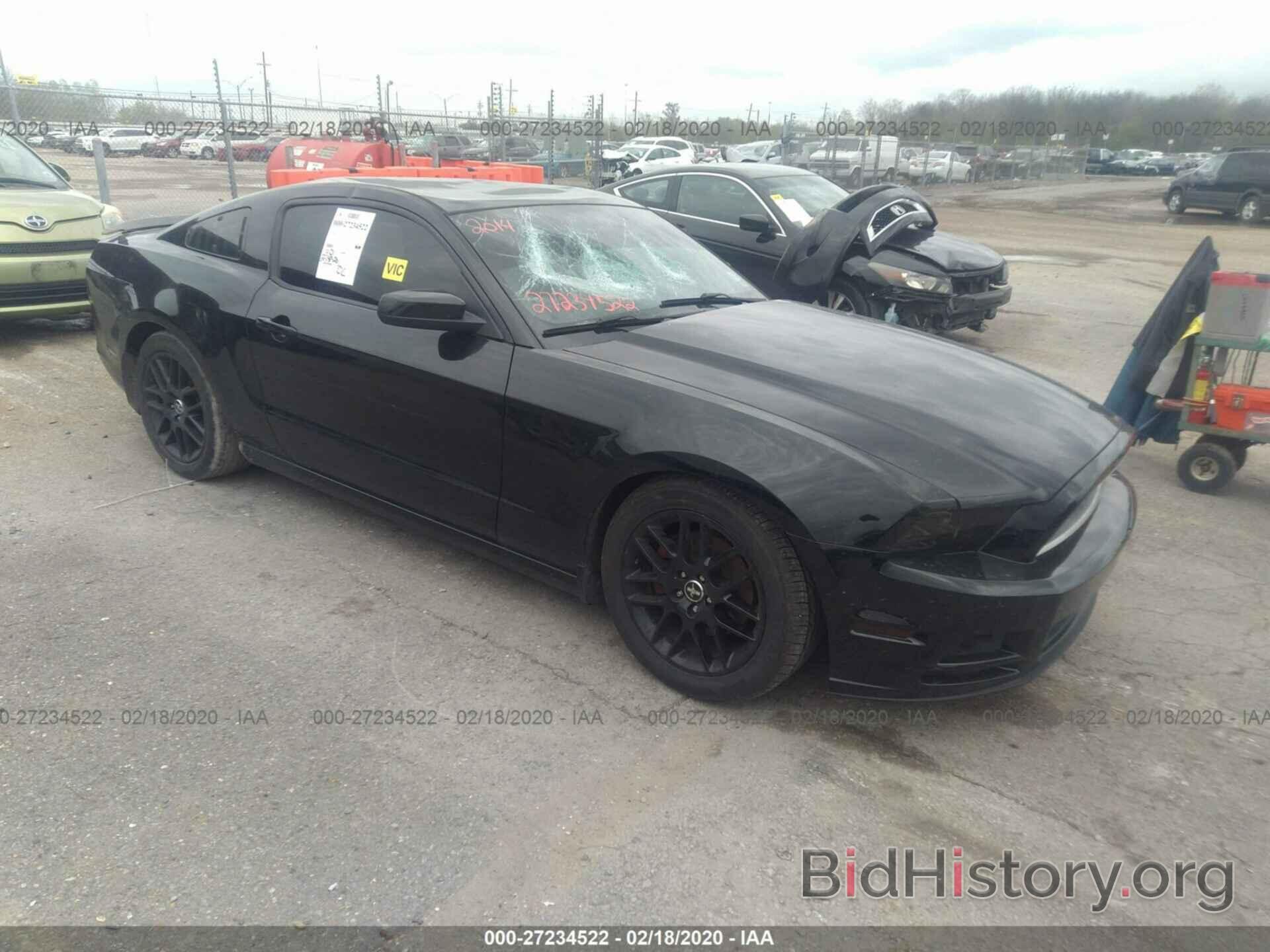 Photo 1ZVBP8AM5E5217149 - FORD MUSTANG 2014