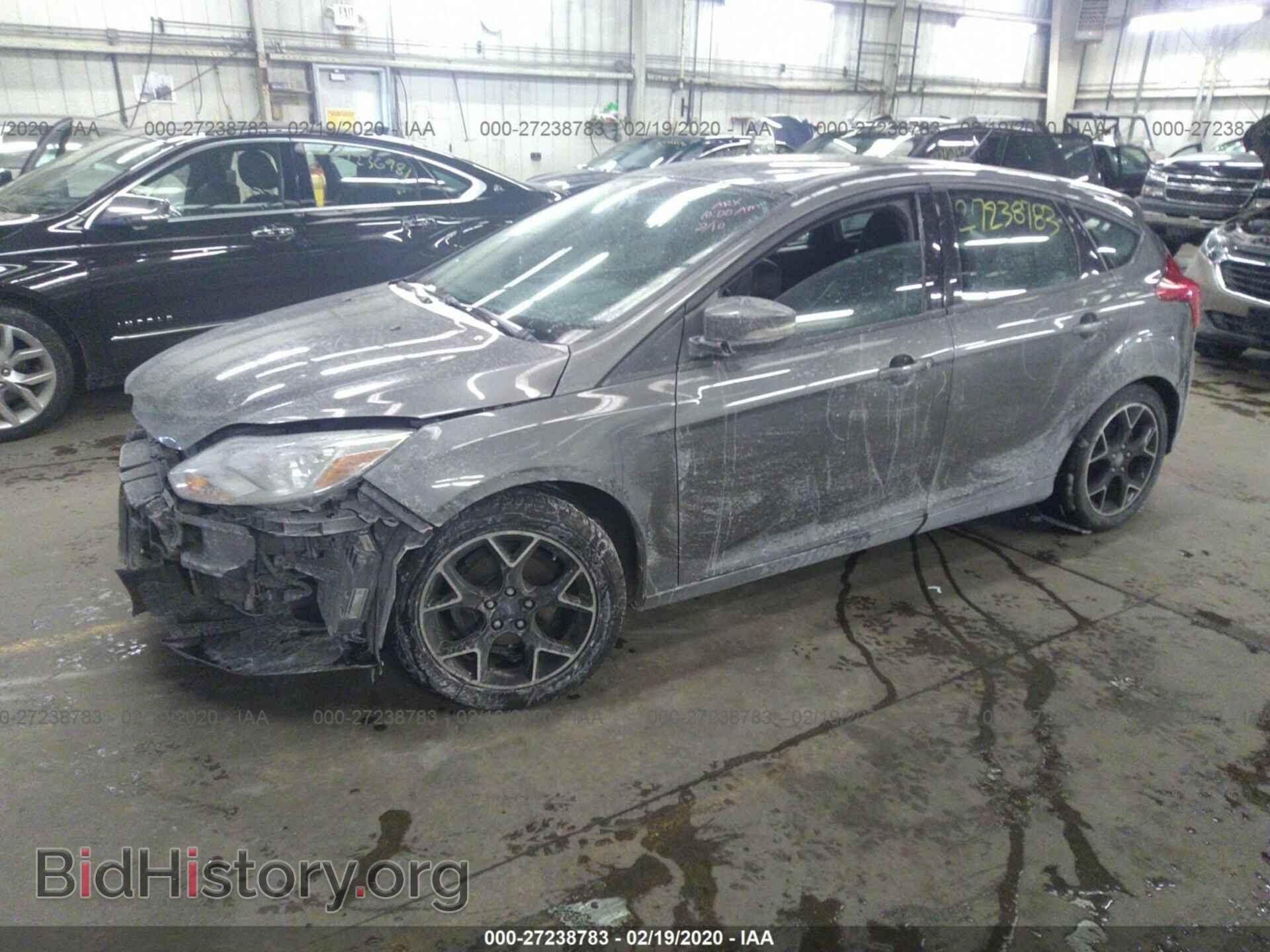 2013 FORD FOCUS - VIN: 1FADP3K26DL373616 - Фото 2