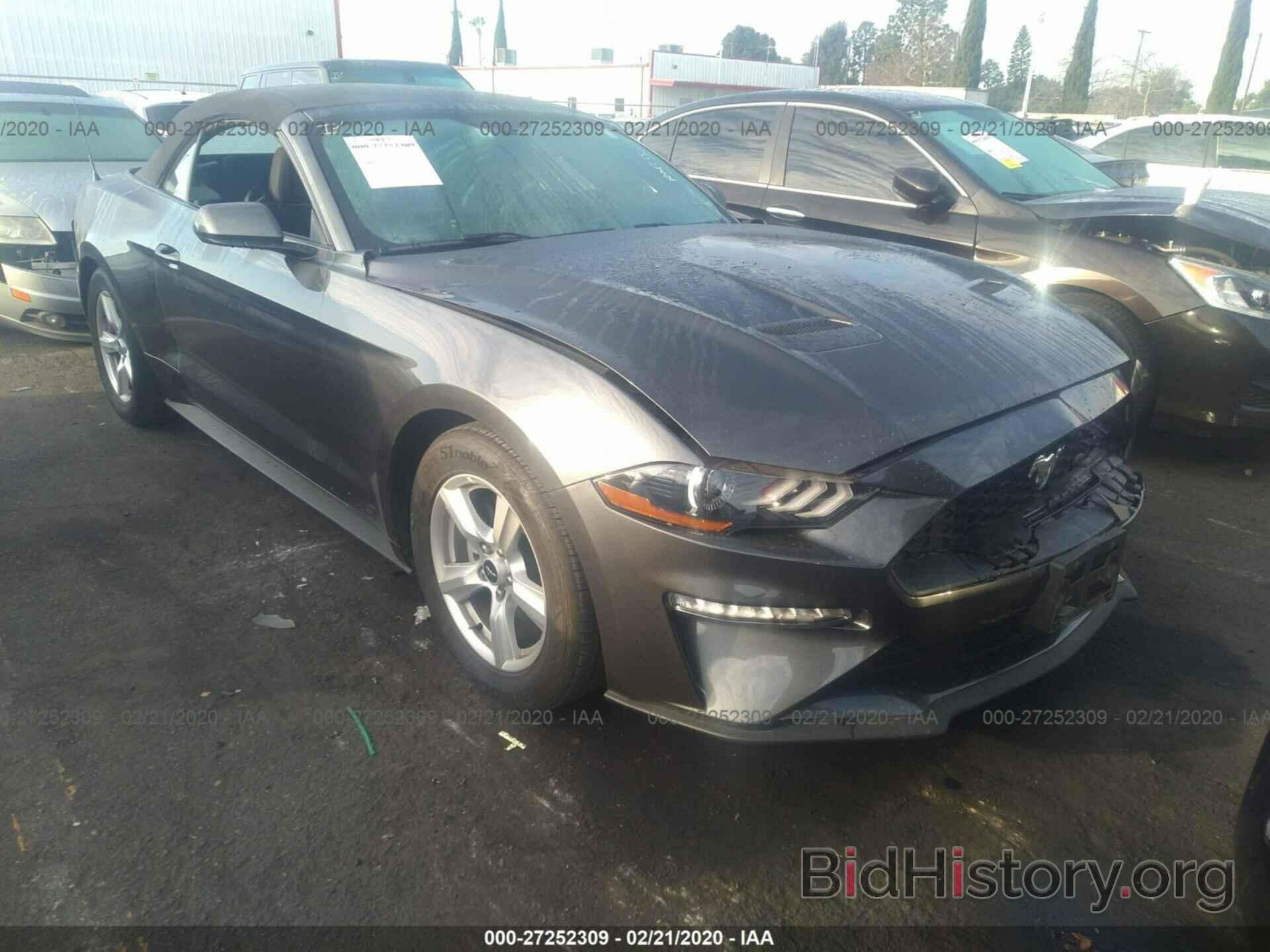 Photo 1FATP8UH5K5159034 - FORD MUSTANG 2019
