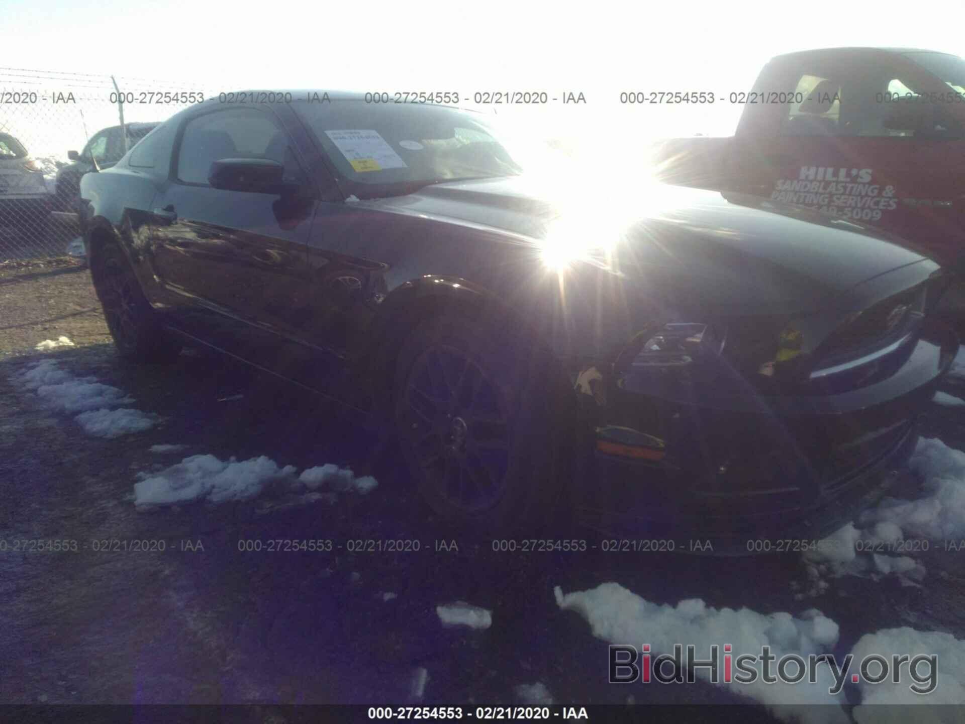 Photo 1ZVBP8AM8E5325104 - FORD MUSTANG 2014