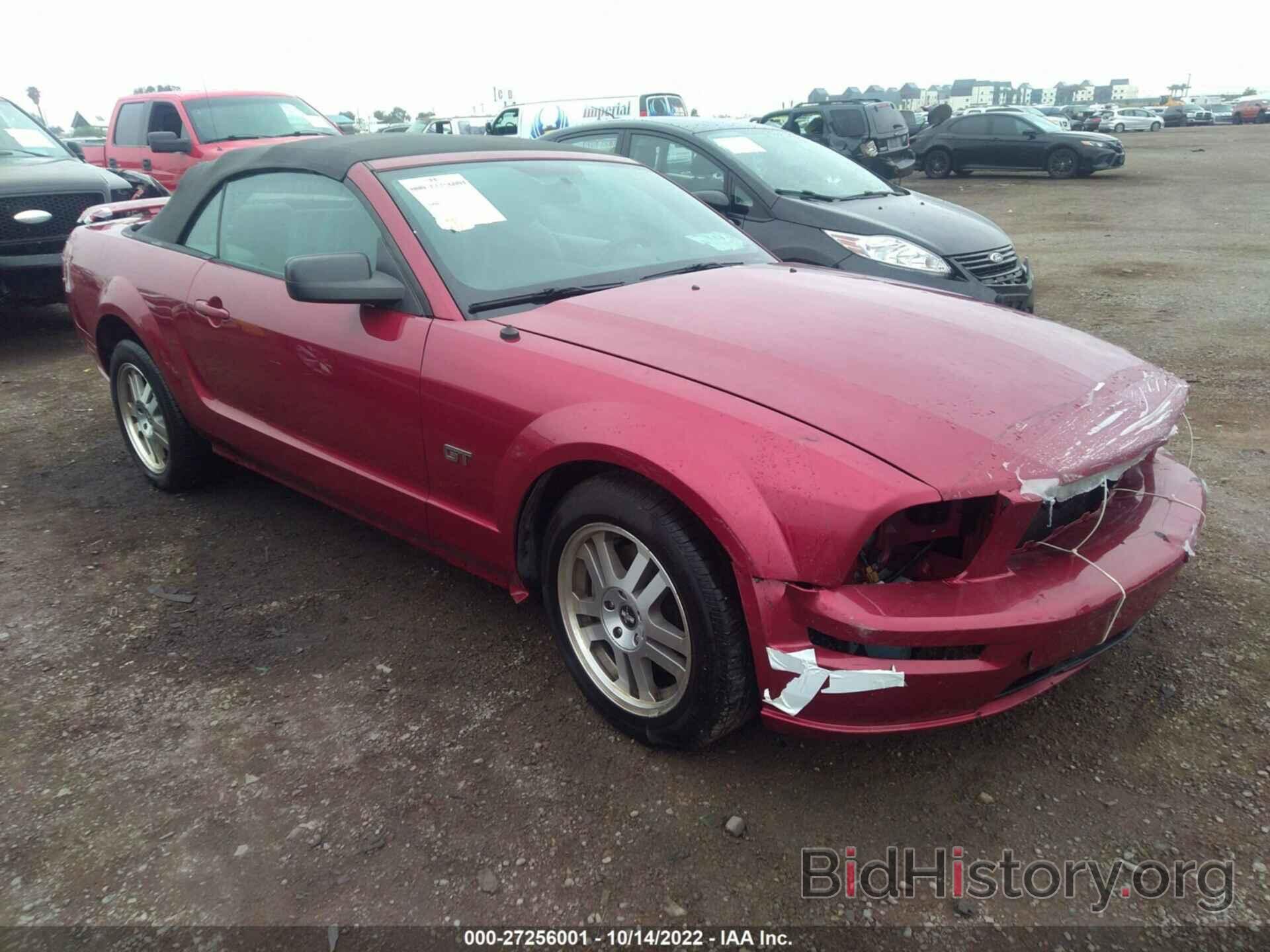 Photo 1ZVHT85H365222564 - FORD MUSTANG 2006