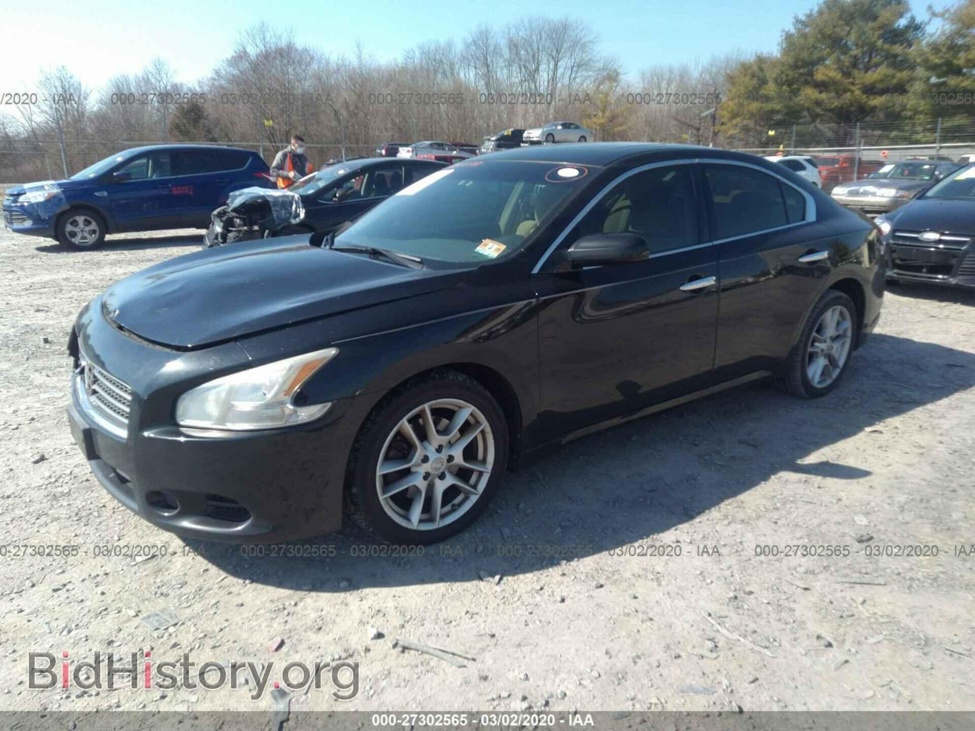 2009 NISSAN MAXIMA - VIN: 1N4AA51E19C828147 - Фото 2