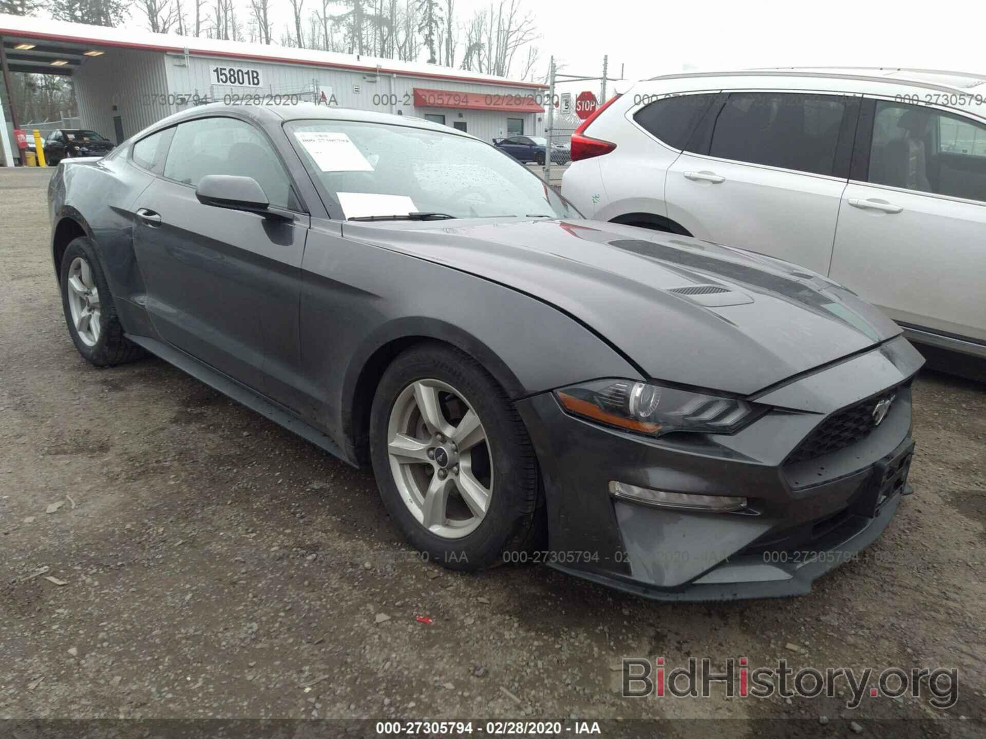 Photo 1FA6P8THXK5135679 - FORD MUSTANG 2019