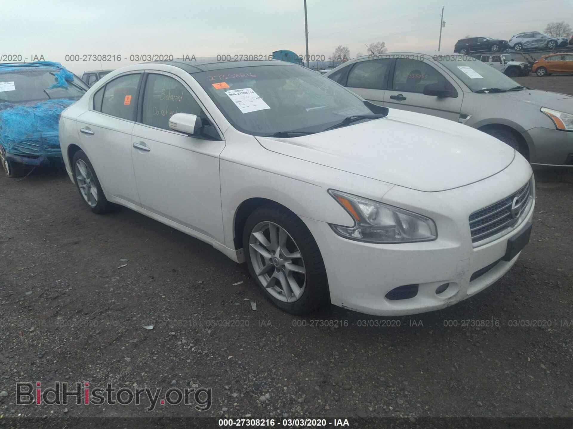 Фотография 1N4AA5AP7AC866388 - NISSAN MAXIMA 2010