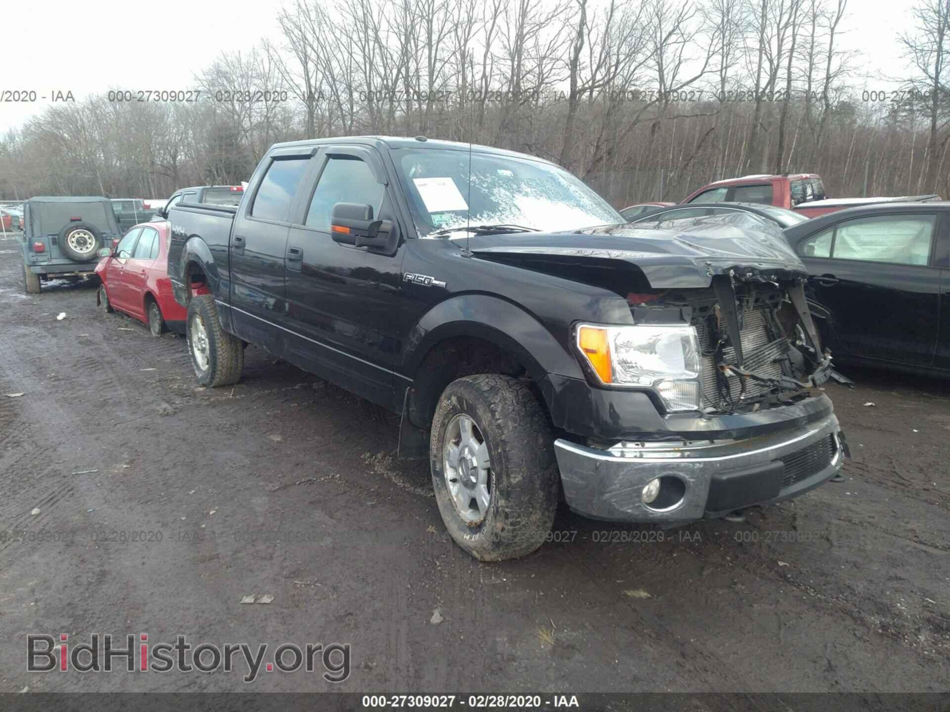 Фотография 1FTEW1E82AFA81736 - FORD F150 2010