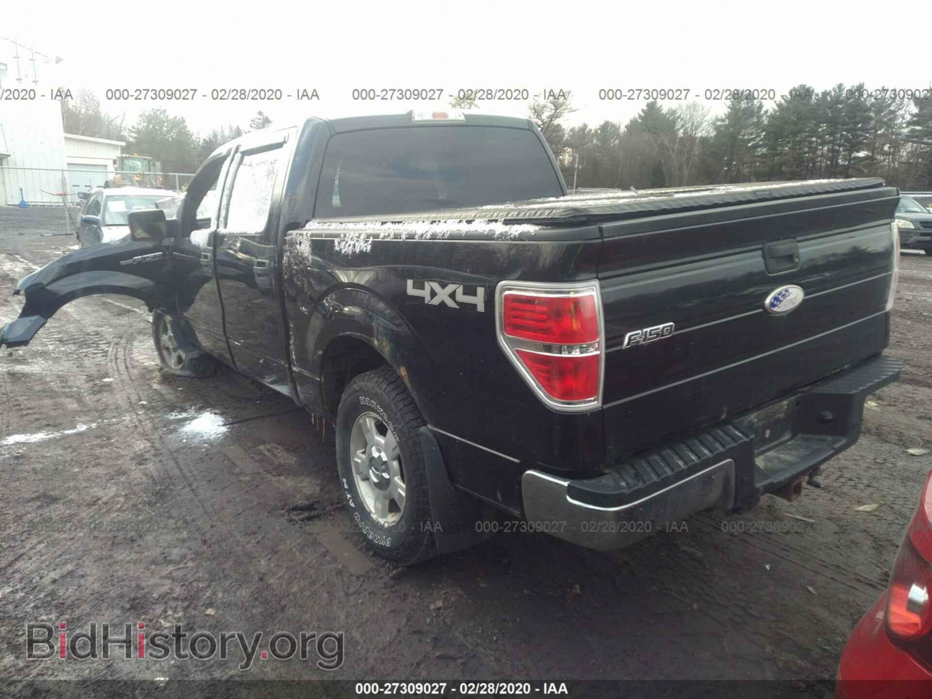 2010 FORD F150 - VIN: 1FTEW1E82AFA81736 - Фото 3