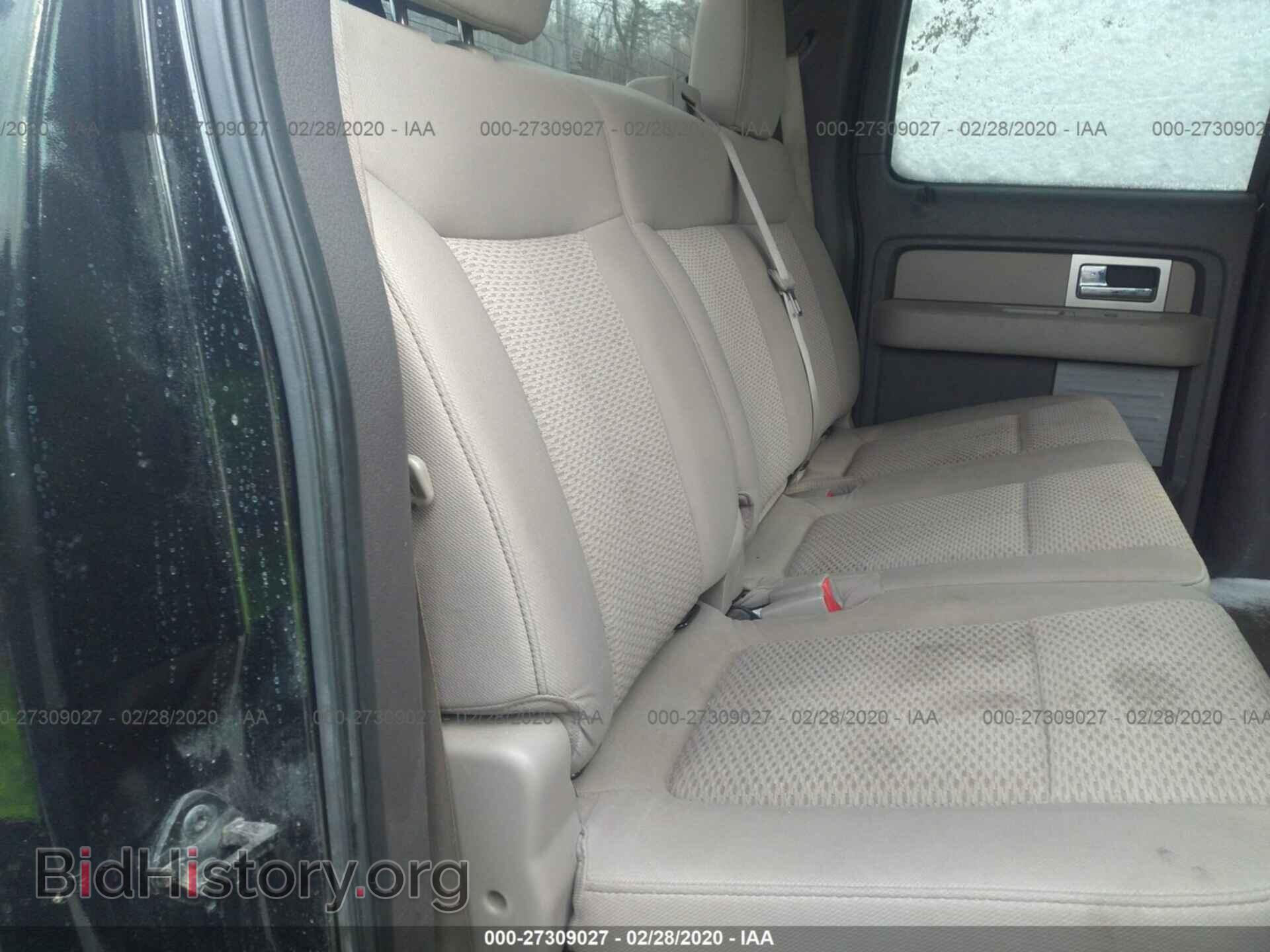 2010 FORD F150 - VIN: 1FTEW1E82AFA81736 - Фото 8