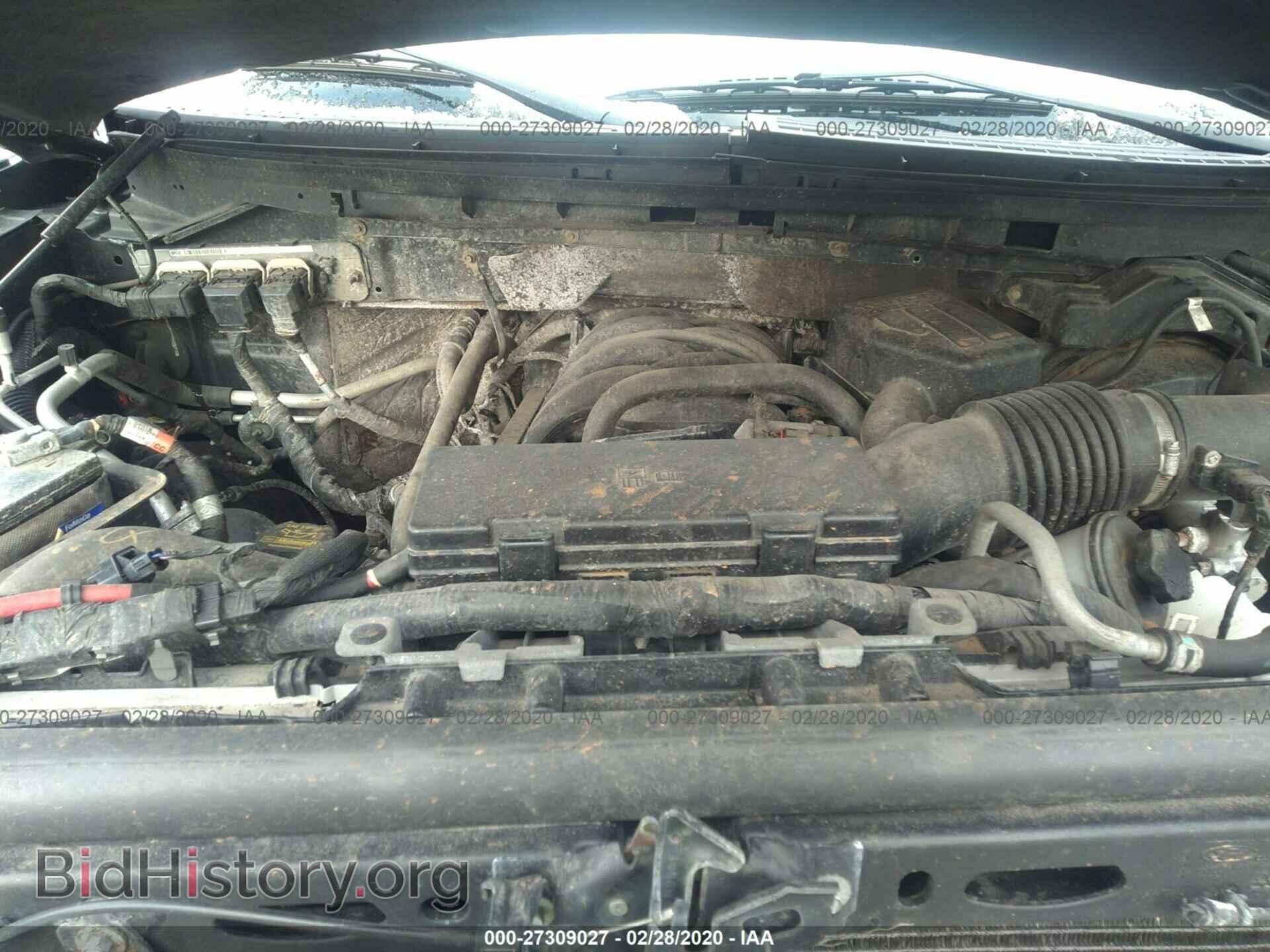 2010 FORD F150 - VIN: 1FTEW1E82AFA81736 - Фото 10