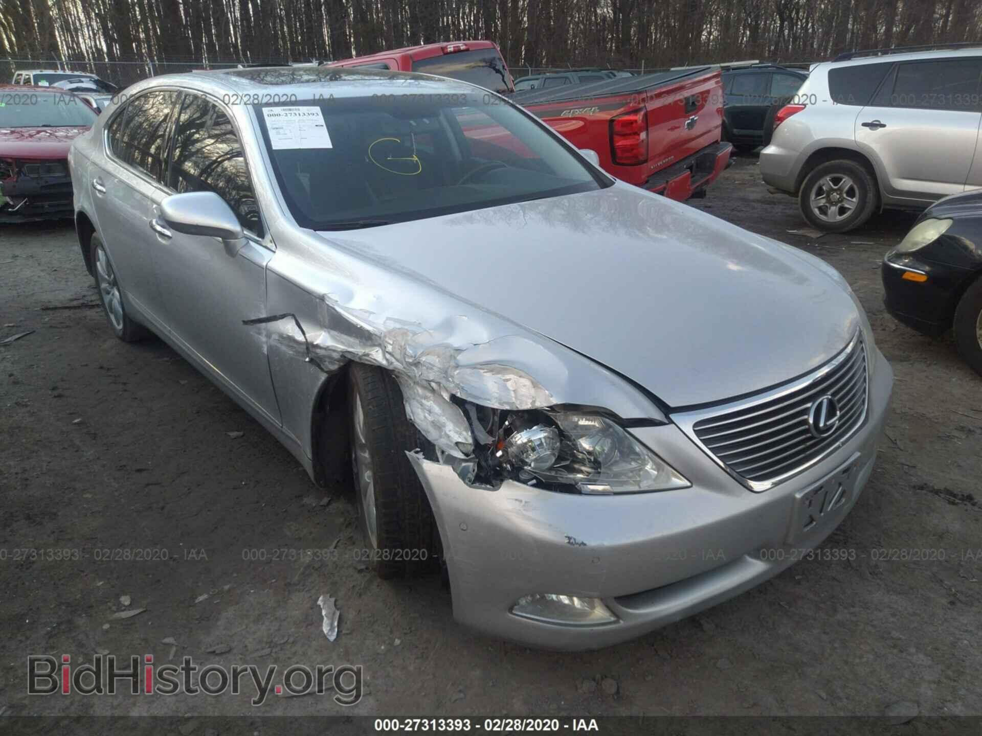 Фотография JTHCL46F295000880 - LEXUS LS 2009