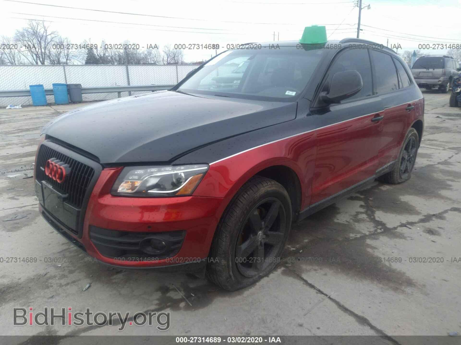 2010 AUDI Q5 - VIN: WA1VKAFP1AA062717 - Фото 2