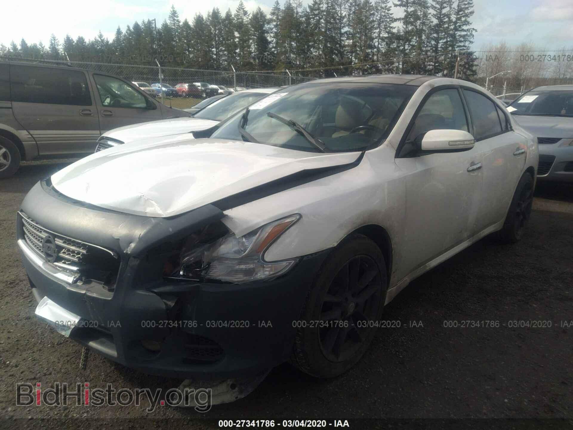 2010 NISSAN MAXIMA - VIN: 1N4AA5AP6AC819708 - Фото 2