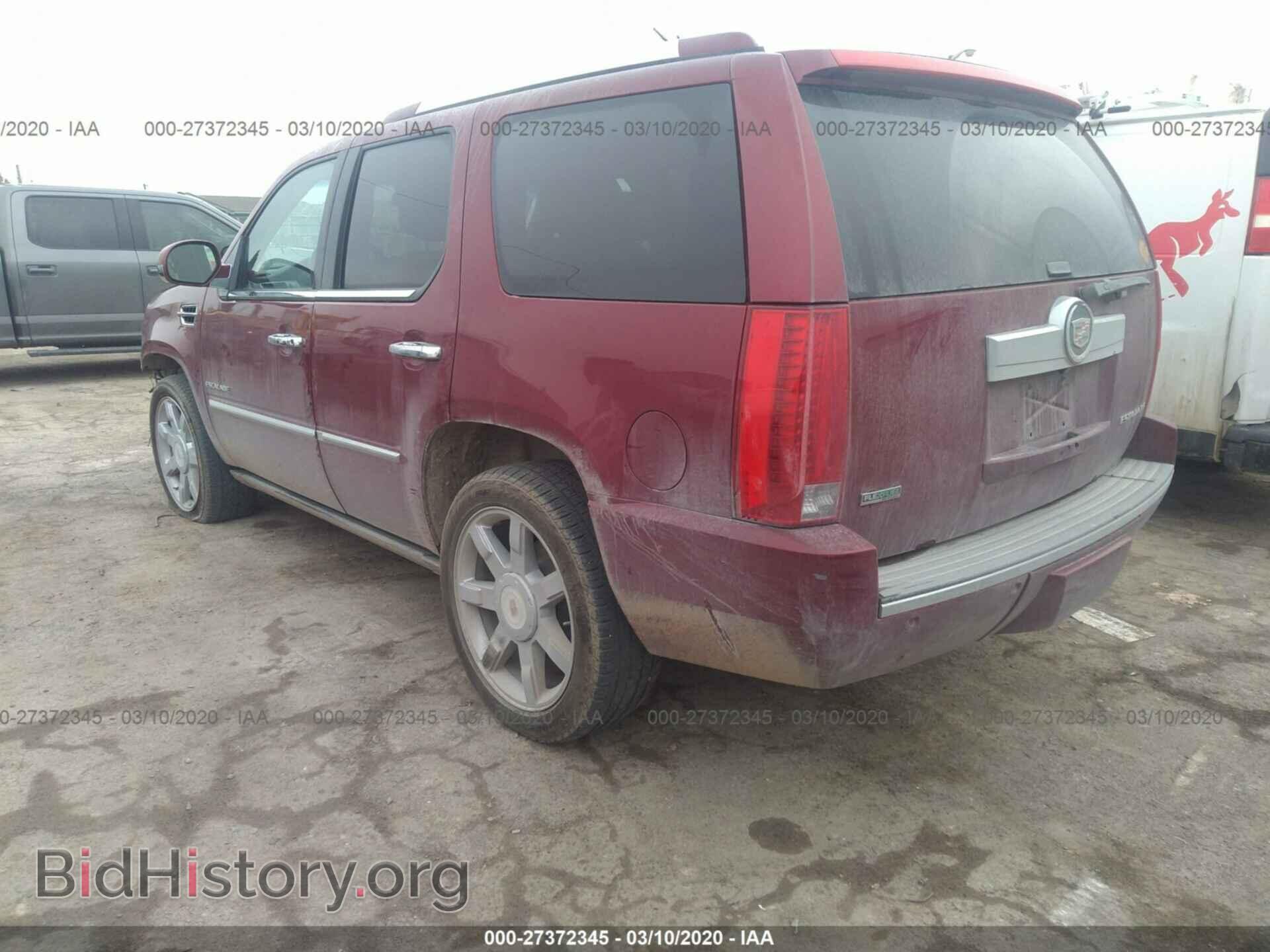 2011 CADILLAC ESCALADE - VIN: 1GYS3CEF2BR194151 - Фото 3