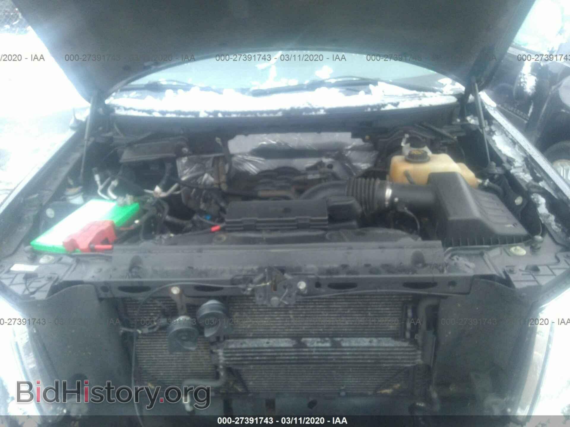 2011 FORD F150 - VIN: 1FTFW1EF0BFA83666 - Фото 10