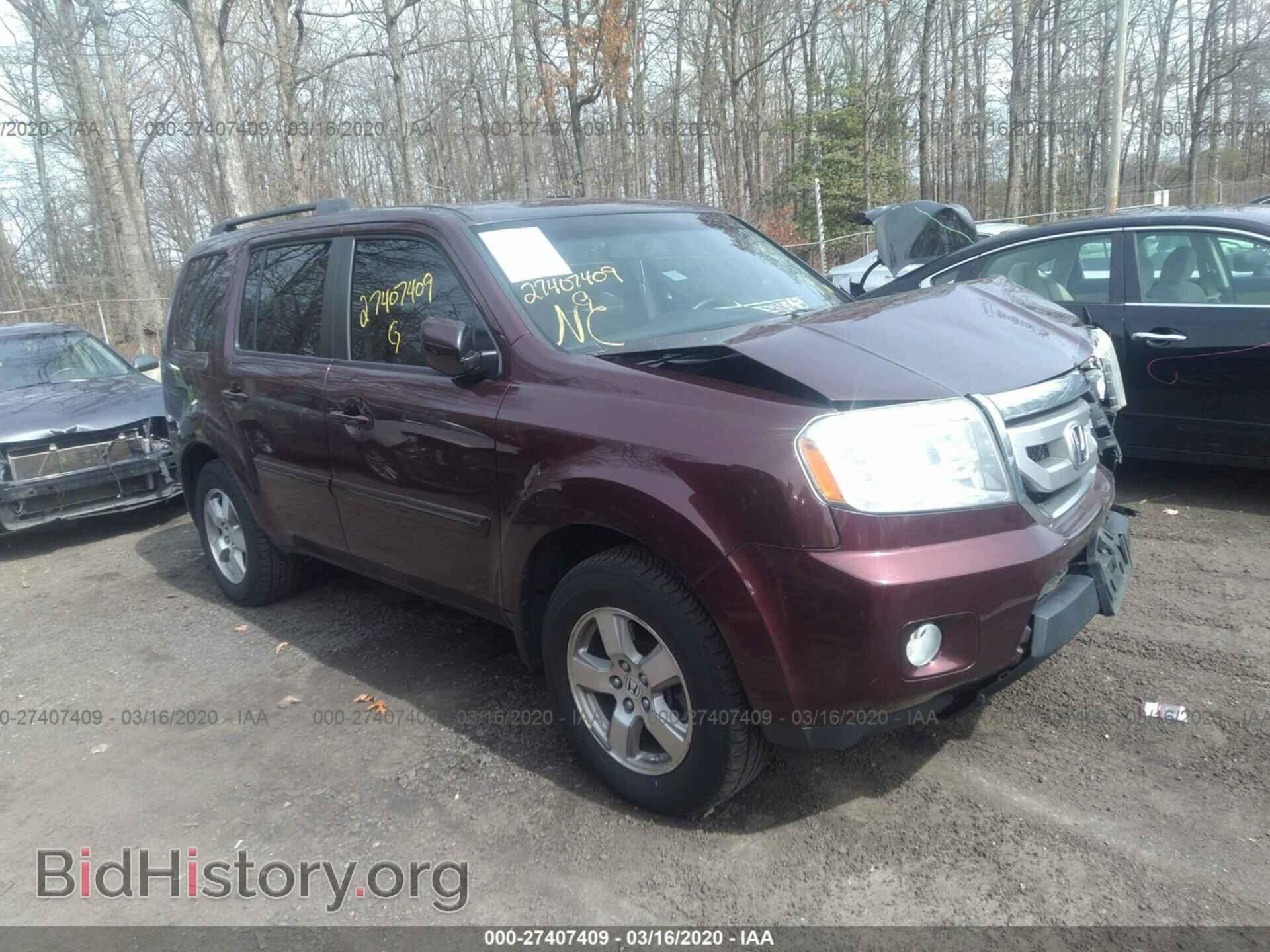 Фотография 5FNYF48569B016243 - HONDA PILOT 2009