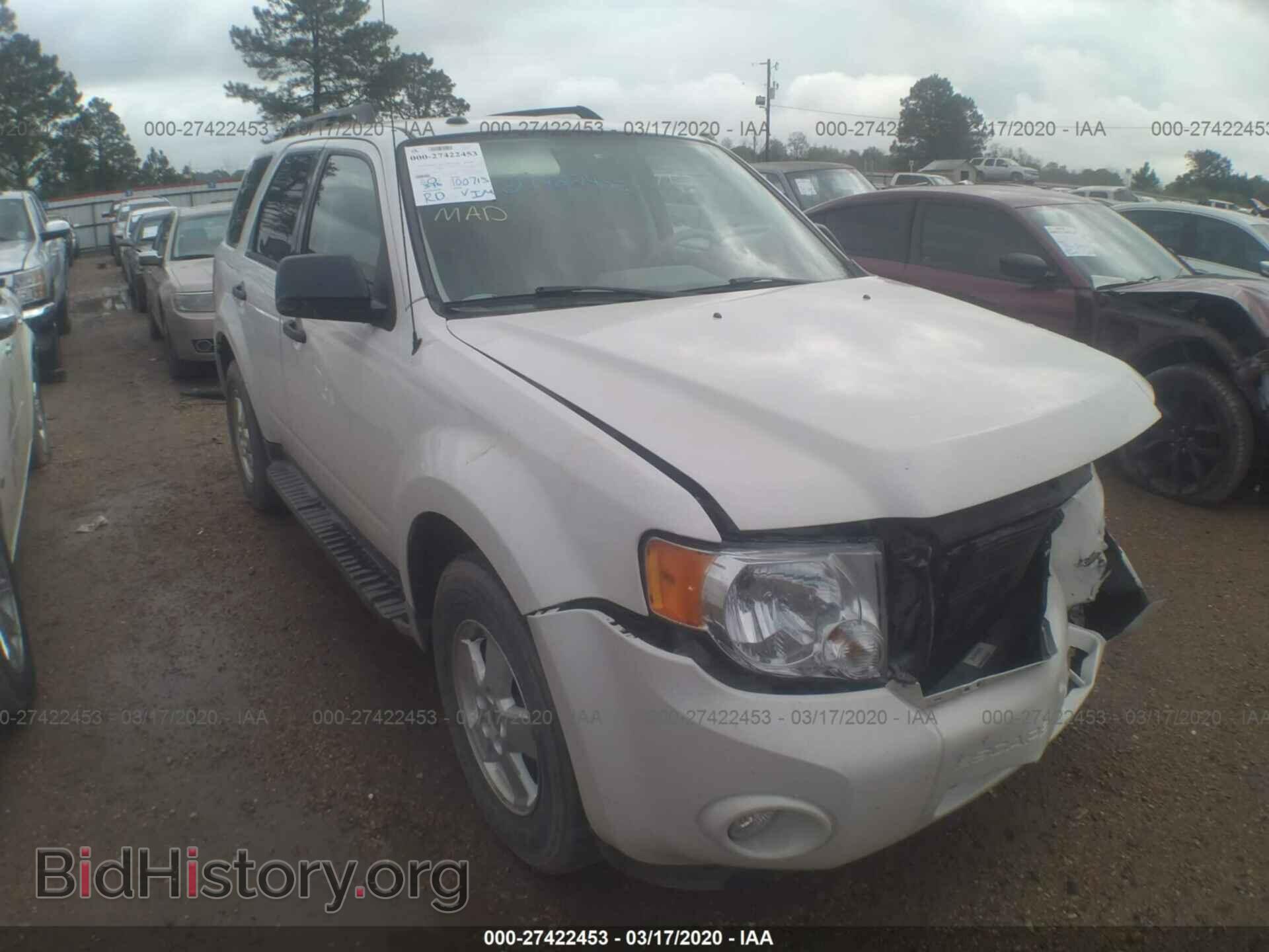 Фотография 1FMCU0DG8BKA21531 - FORD ESCAPE 2011