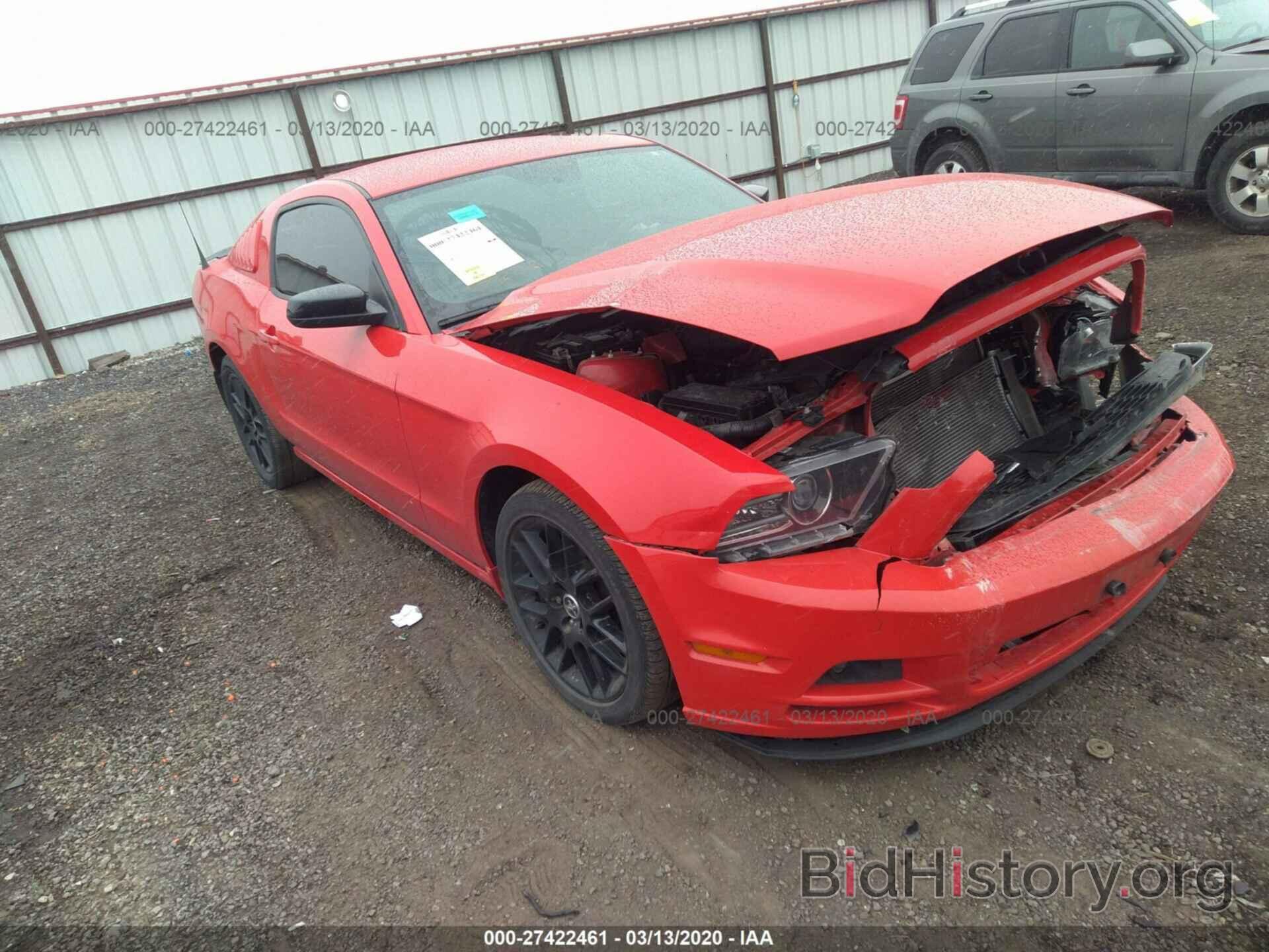 Photo 1ZVBP8AM0E5321810 - FORD MUSTANG 2014
