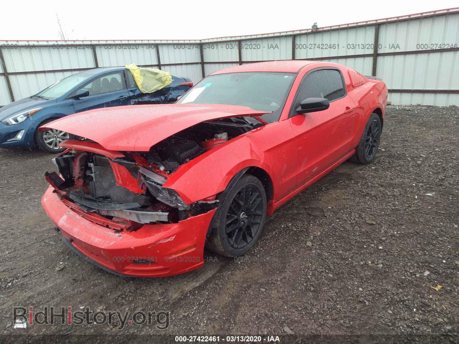 2014 FORD MUSTANG - VIN: 1ZVBP8AM0E5321810 - Фото 2