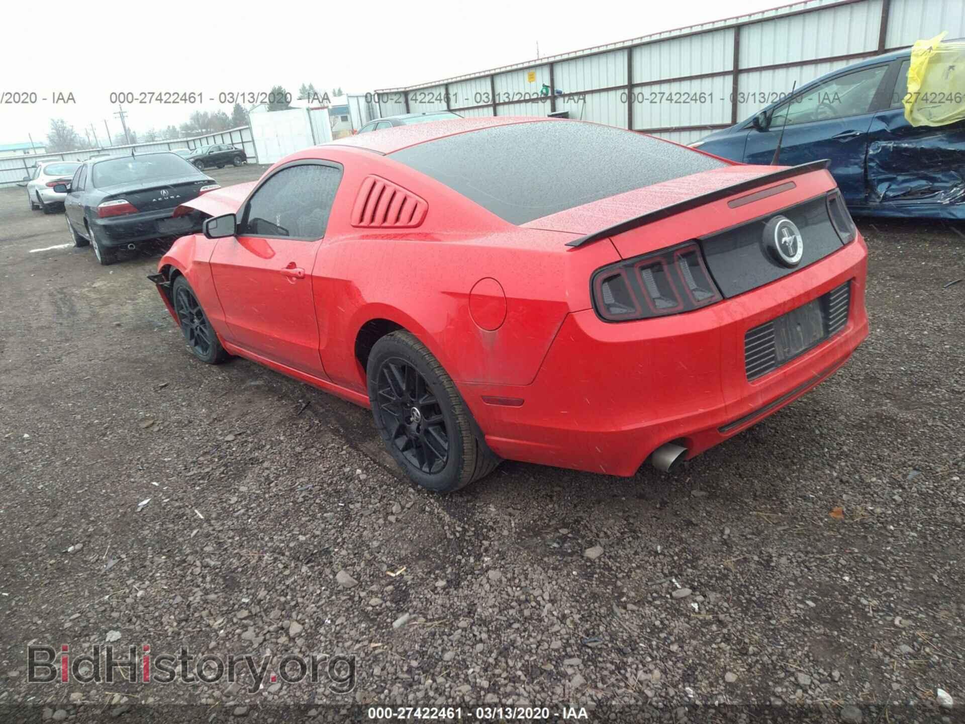 2014 FORD MUSTANG - VIN: 1ZVBP8AM0E5321810 - Фото 3