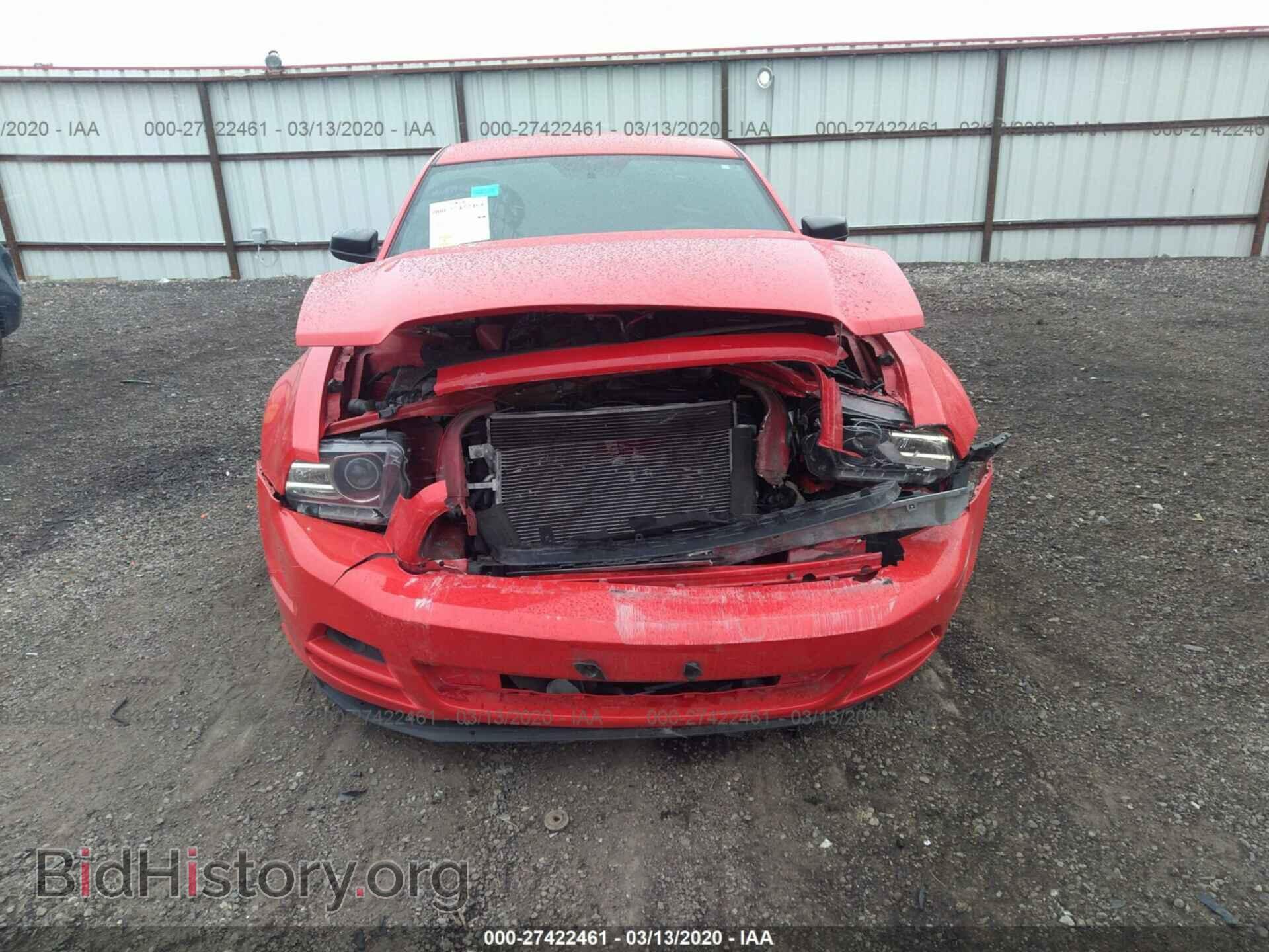 2014 FORD MUSTANG - VIN: 1ZVBP8AM0E5321810 - Фото 6
