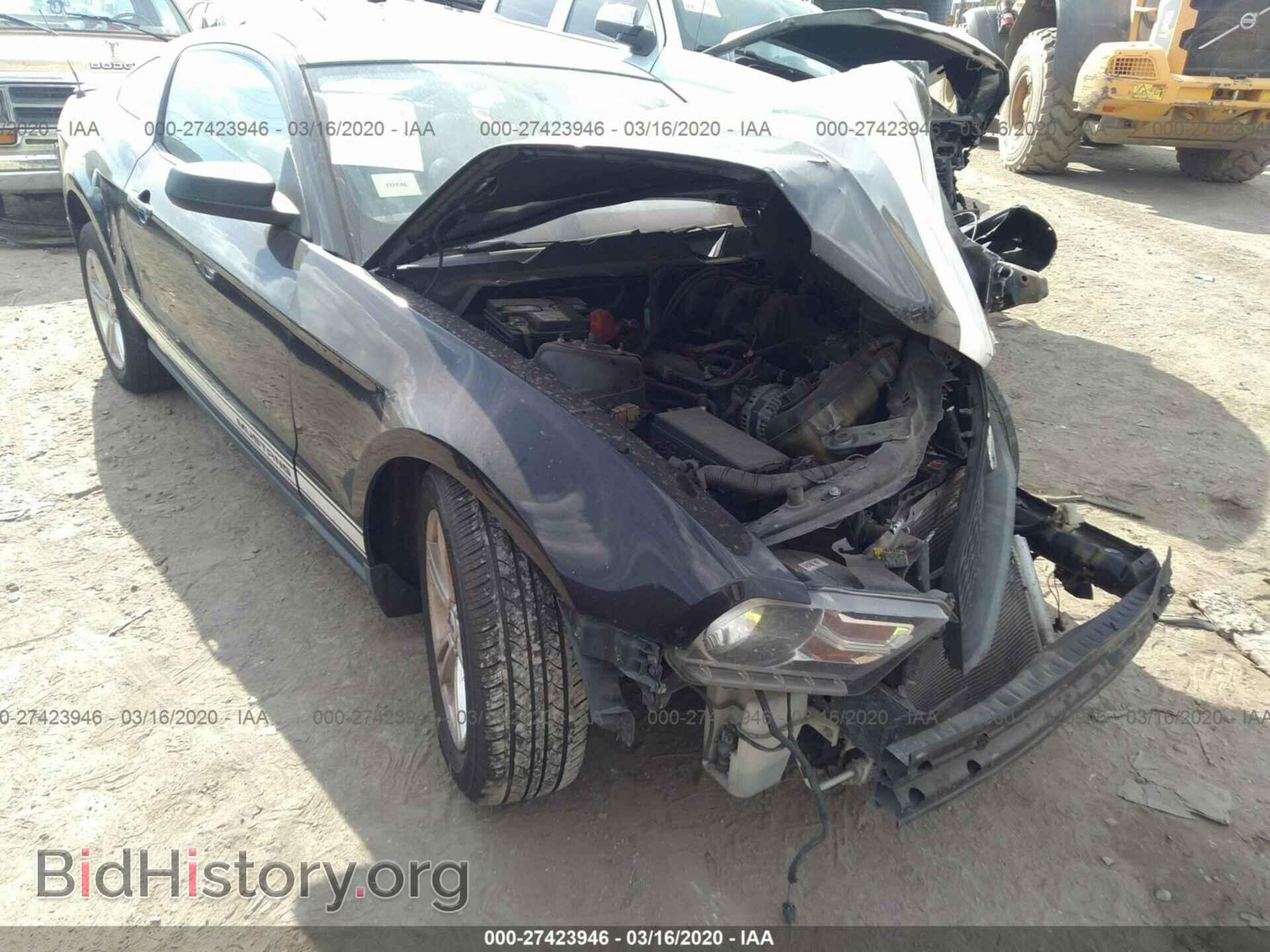 Photo 1ZVBP8AN9A5146475 - FORD MUSTANG 2010