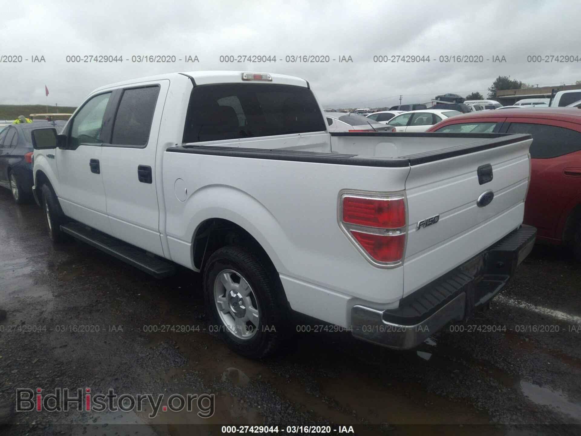 2010 FORD F150 - VIN: 1FTEW1C81AFC24369 - Фото 3