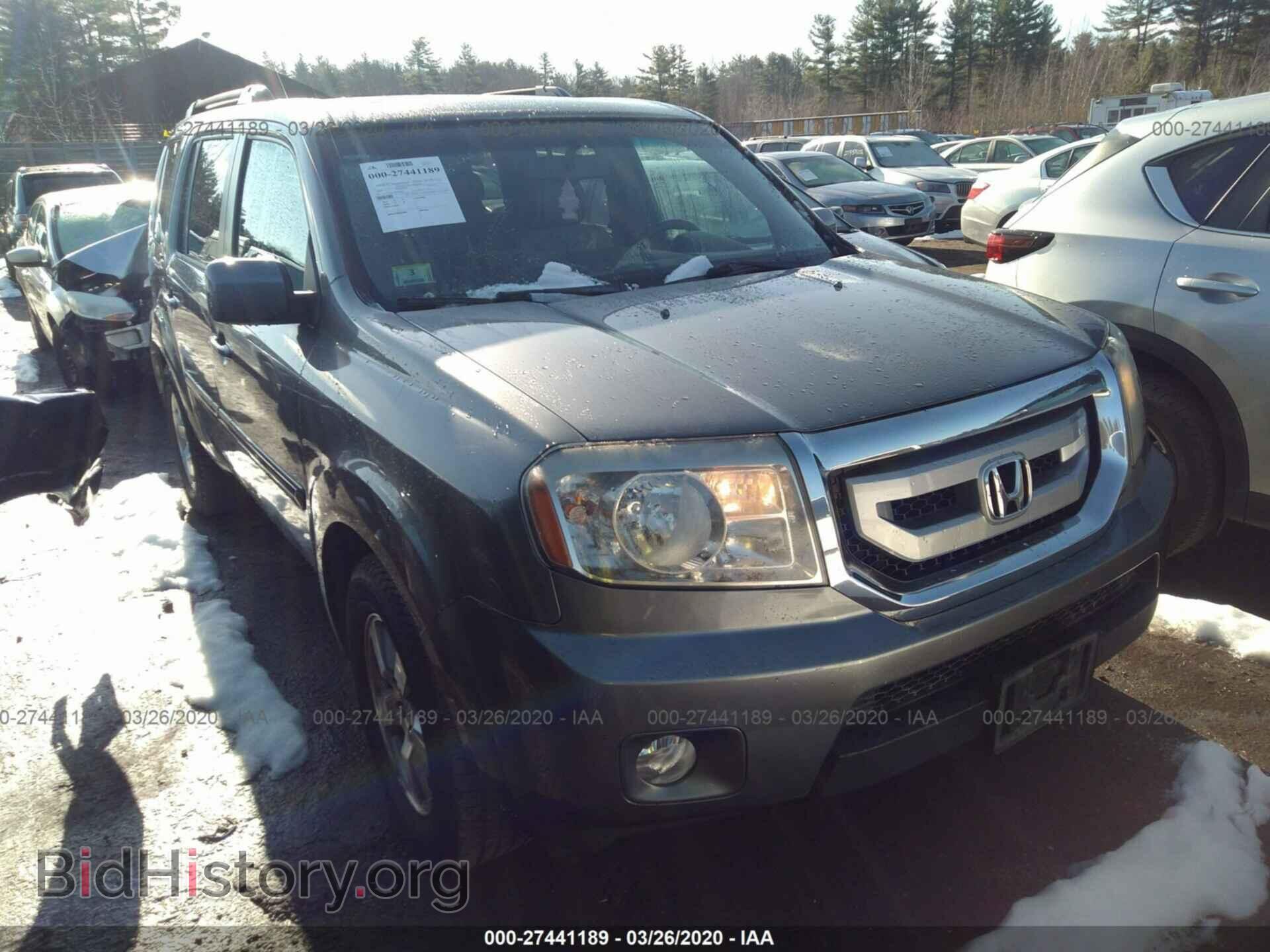 Фотография 5FNYF48579B035366 - HONDA PILOT 2009