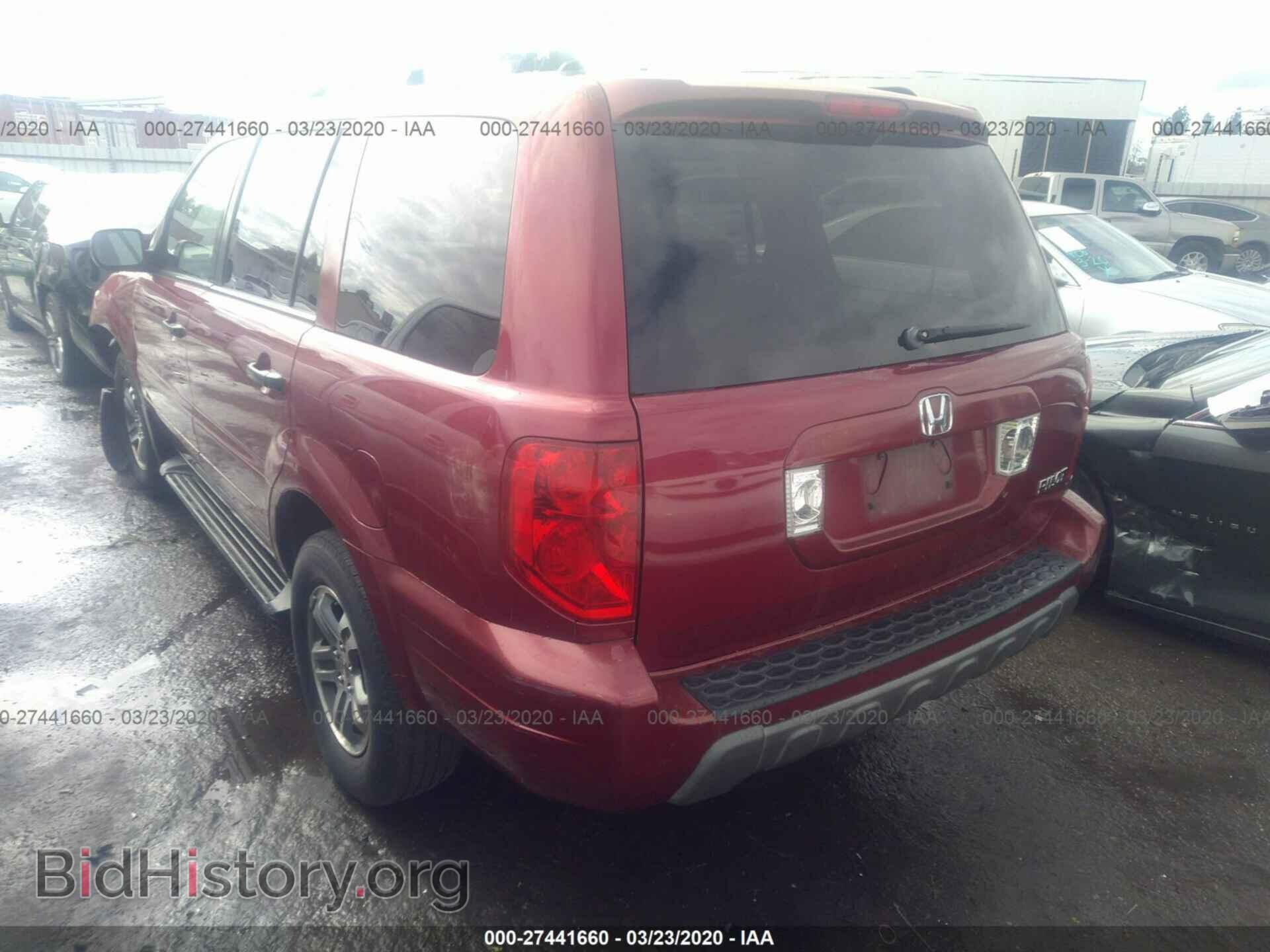2005 HONDA PILOT - VIN: 2HKYF18615H526700 - Фото 3