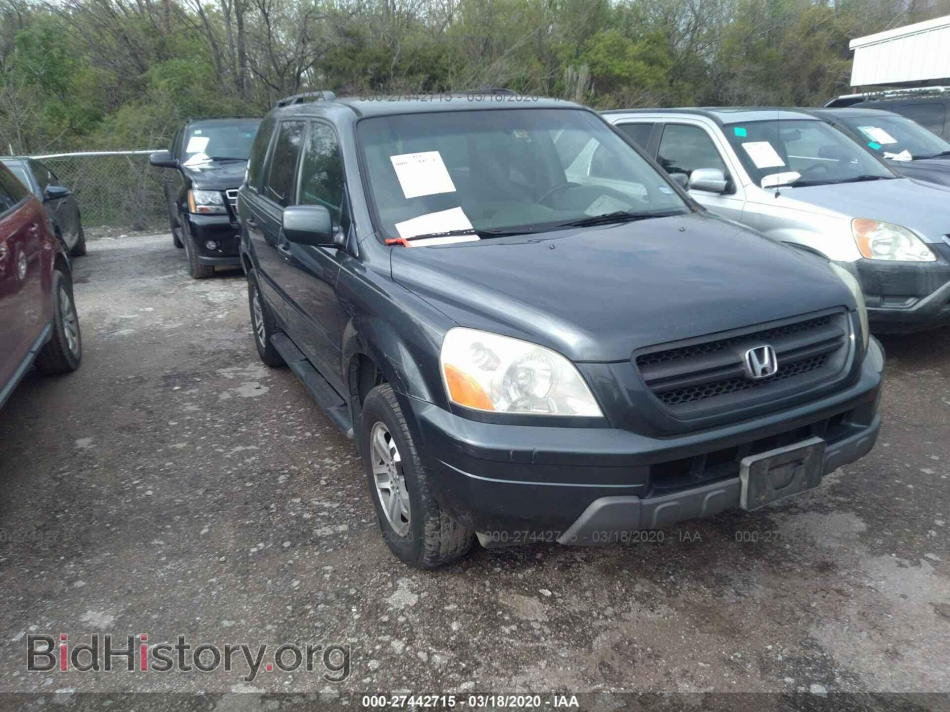 Фотография 5FNYF18535B007718 - HONDA PILOT 2005