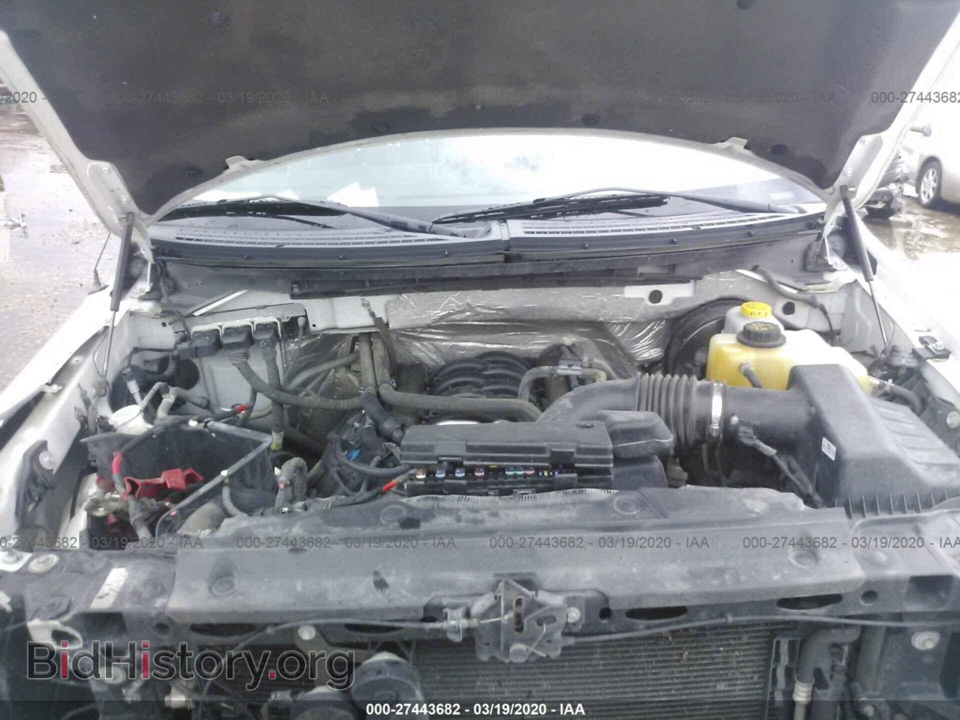 2014 FORD F150 - VIN: 1FTNF1CF1EKD64207 - Фото 10