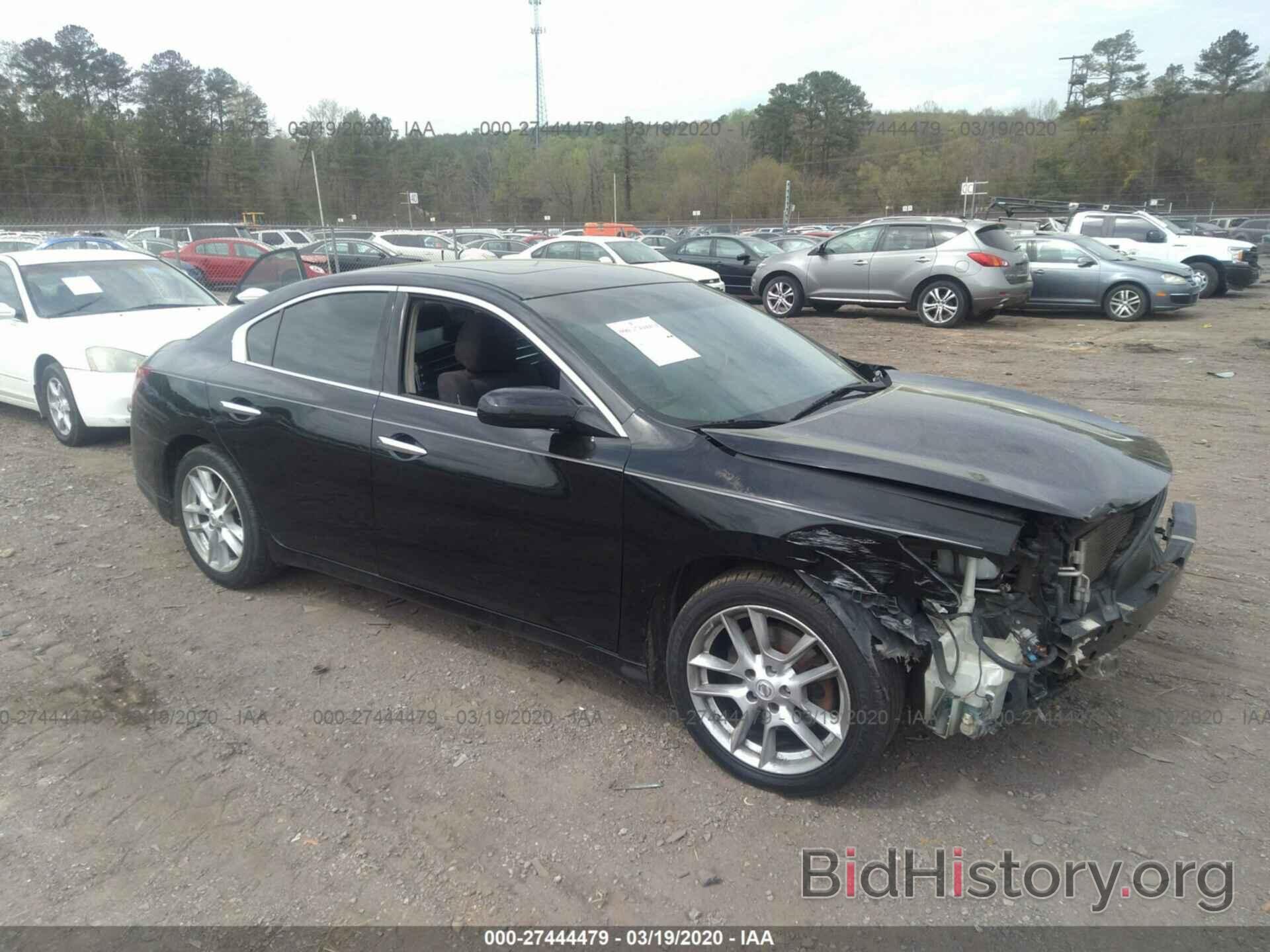 Photo 1N4AA5AP1AC829627 - NISSAN MAXIMA 2010