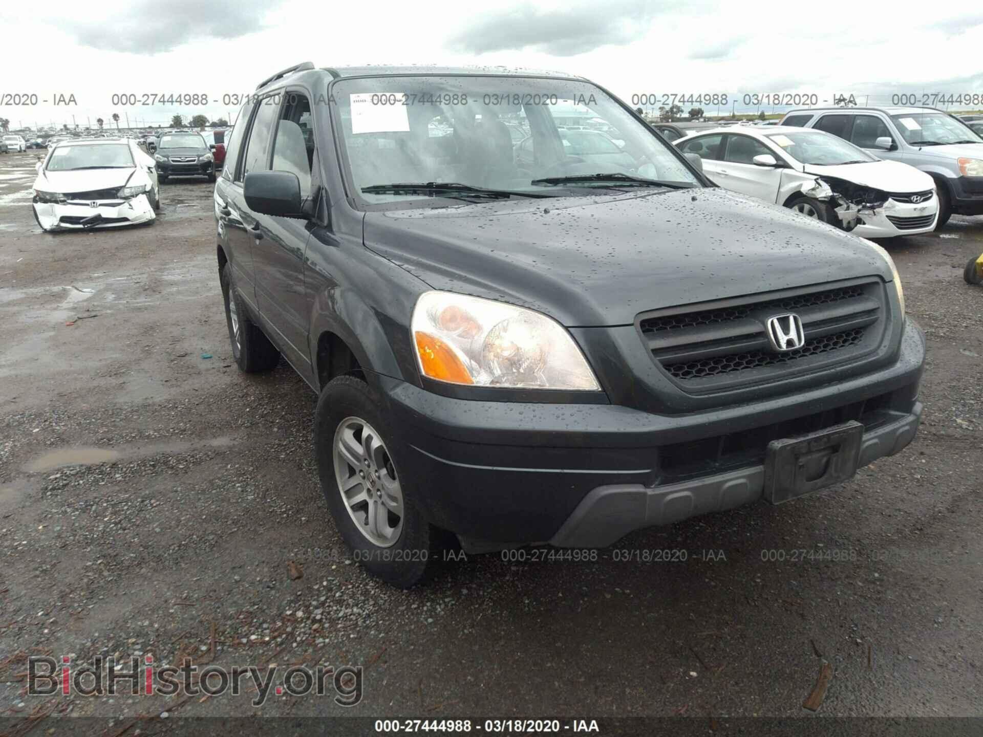 Фотография 2HKYF18495H558356 - HONDA PILOT 2005