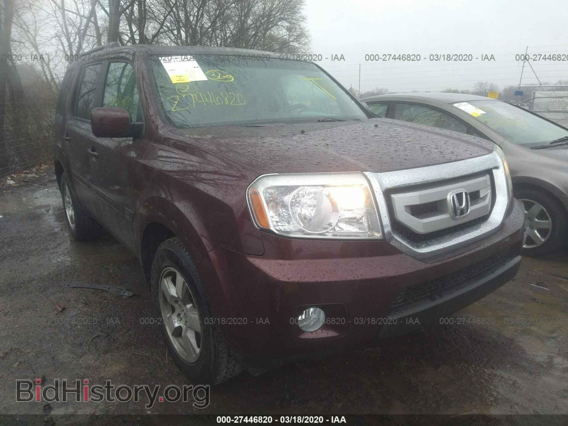Фотография 5FNYF4H58BB033499 - HONDA PILOT 2011