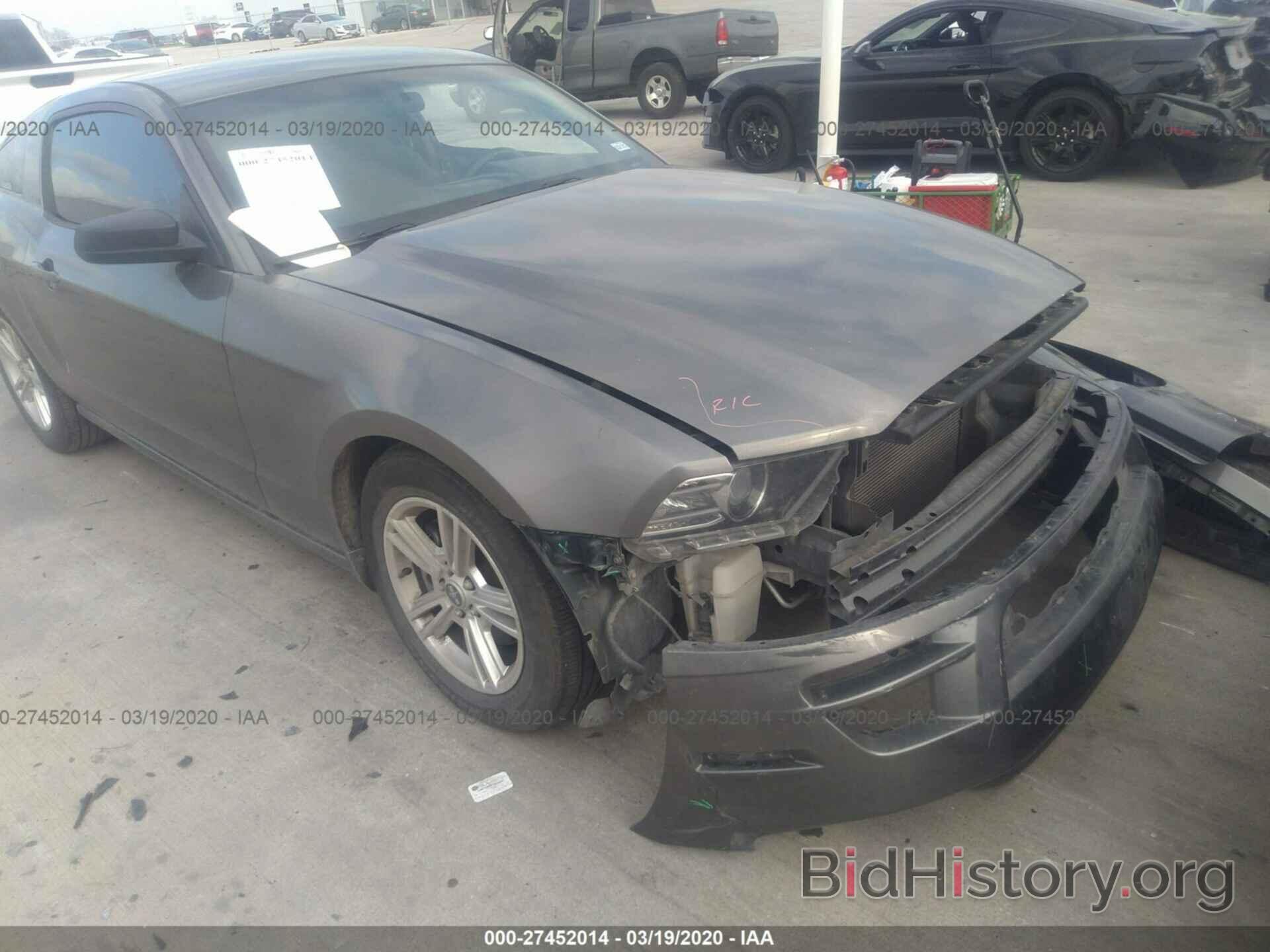 Photo 1ZVBP8AM4E5217188 - FORD MUSTANG 2014