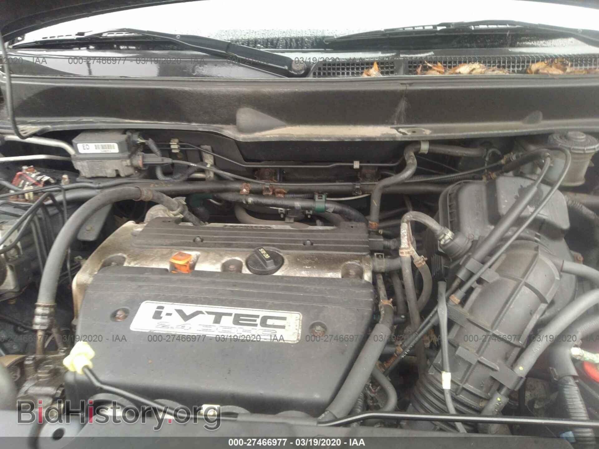 2004 HONDA ELEMENT - VIN: 5J6YH18574L005809 - Photo 10