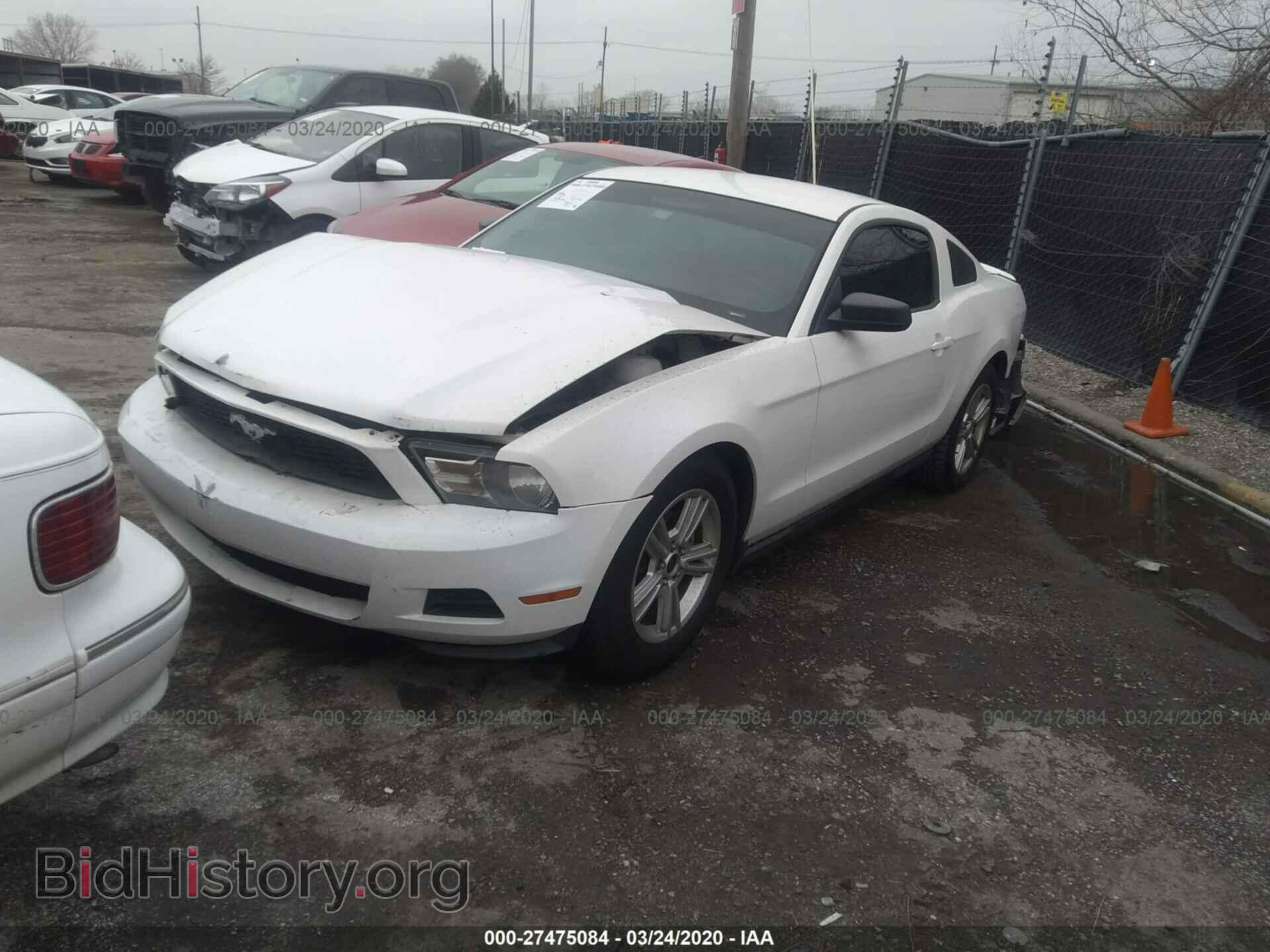 2010 FORD MUSTANG - VIN: 1ZVBP8AN5A5142990 - Фото 2