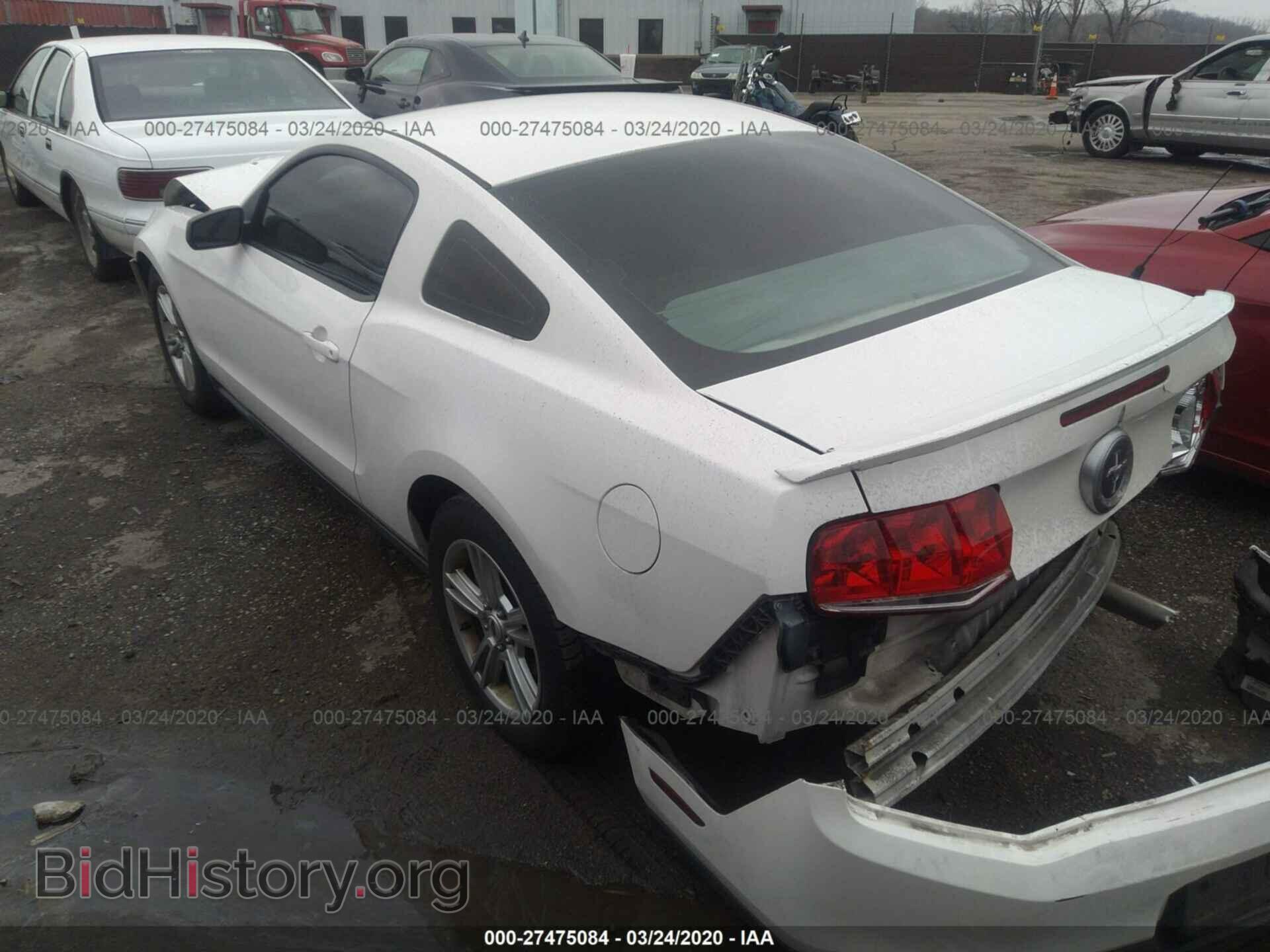 2010 FORD MUSTANG - VIN: 1ZVBP8AN5A5142990 - Фото 3
