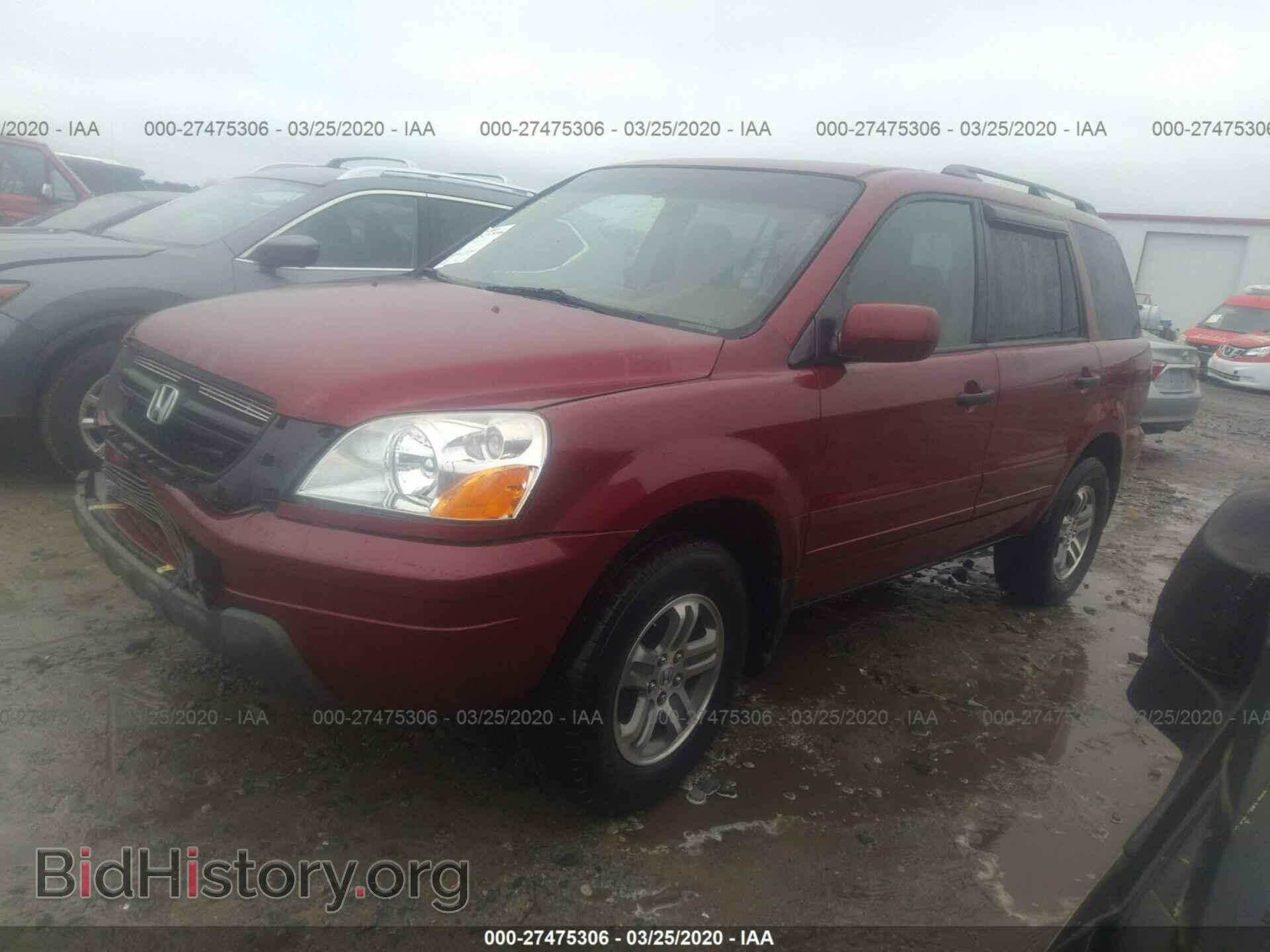 2005 HONDA PILOT - VIN: 5FNYF18425B013887 - Фото 2